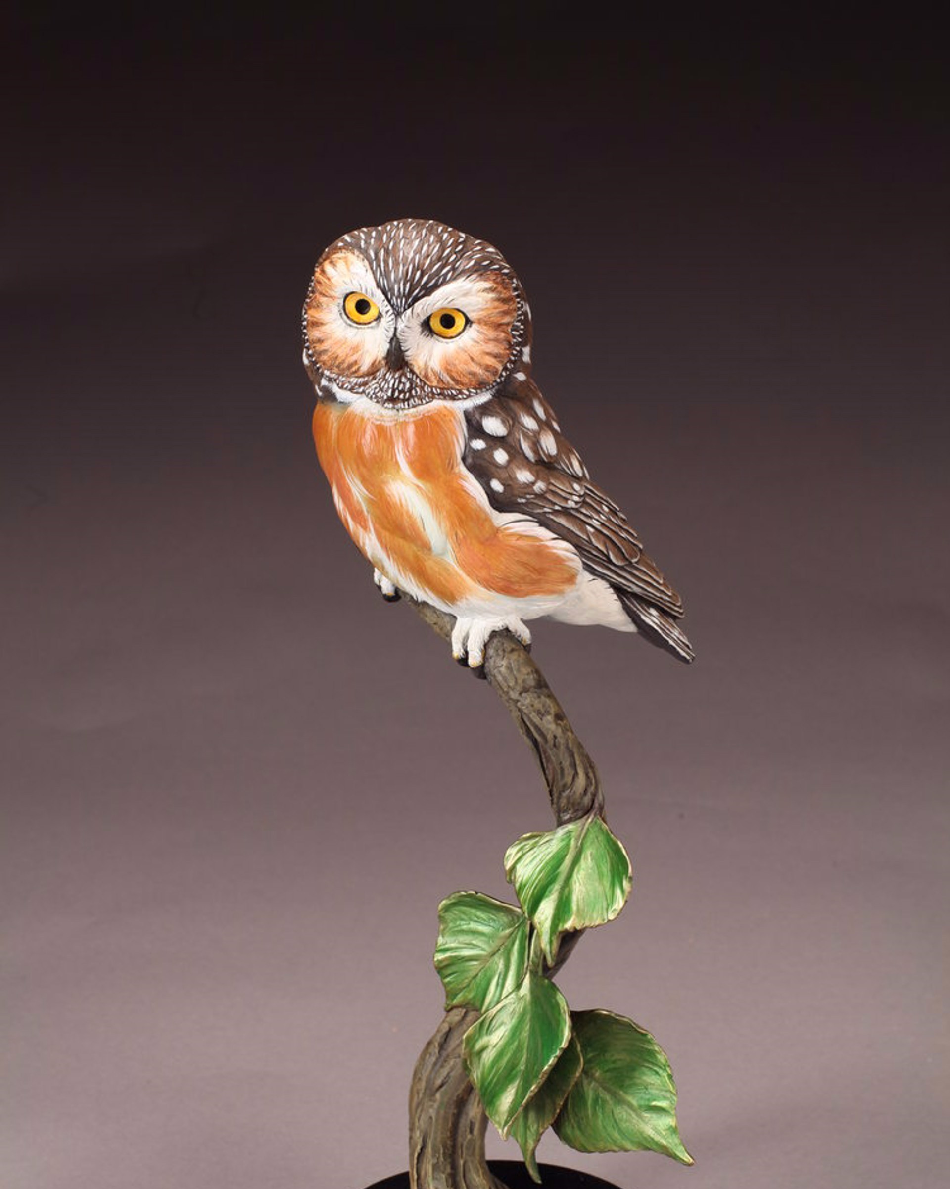 Saw-whet Owl (Edition of 36) by Joan Zygmunt