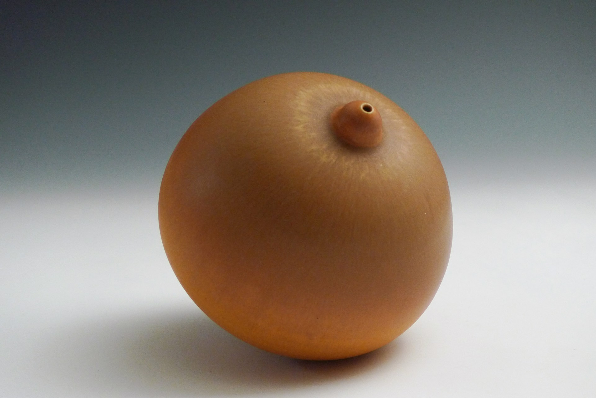 Bulb Form by Charlie Olson