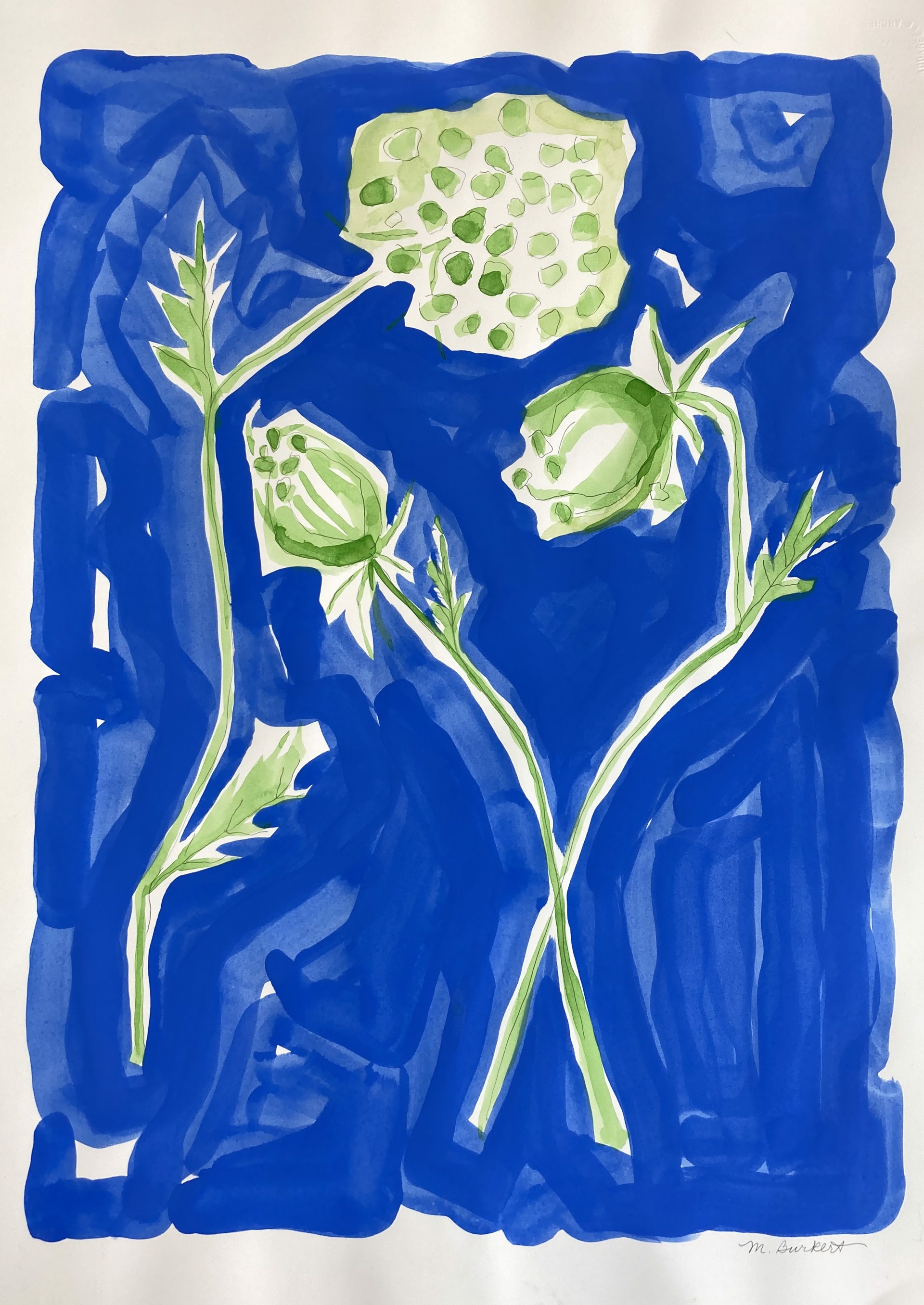 Cornflower Blue 1 by Martha Burkert