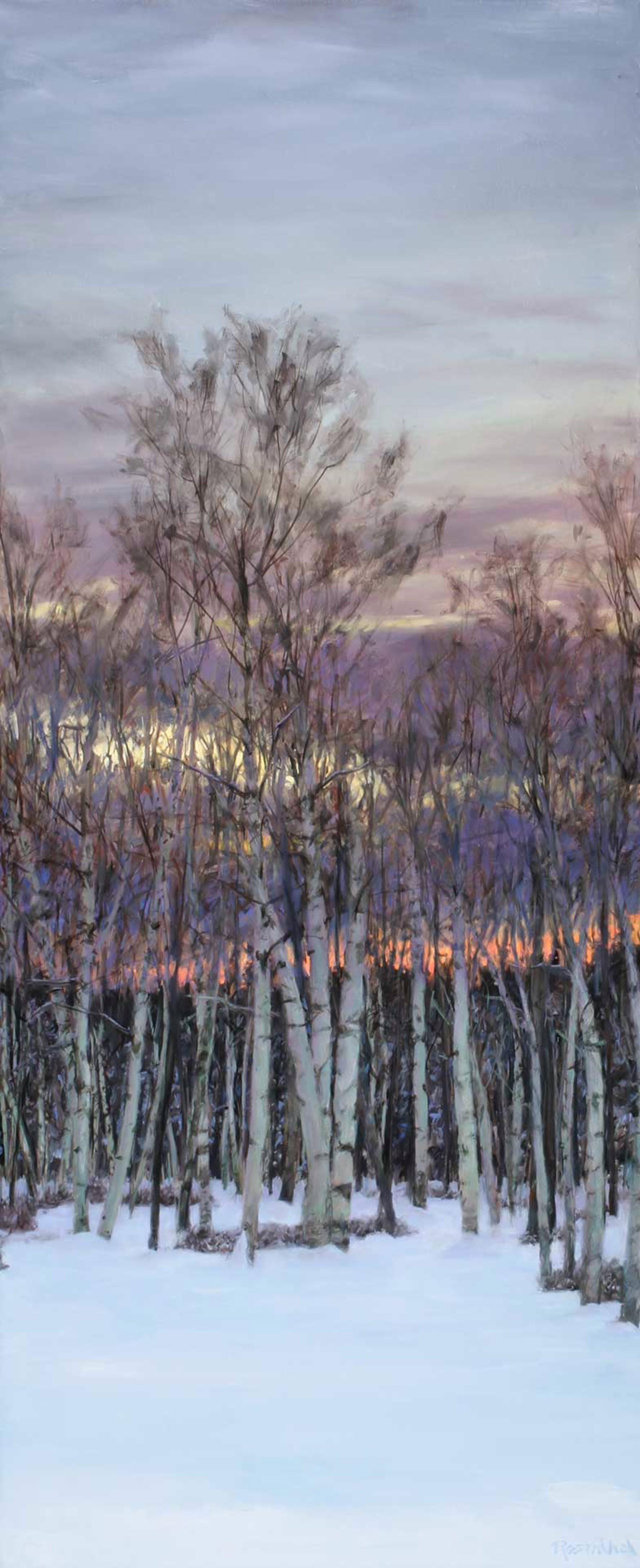 Sunset on the Birches by Sam Rosenthal