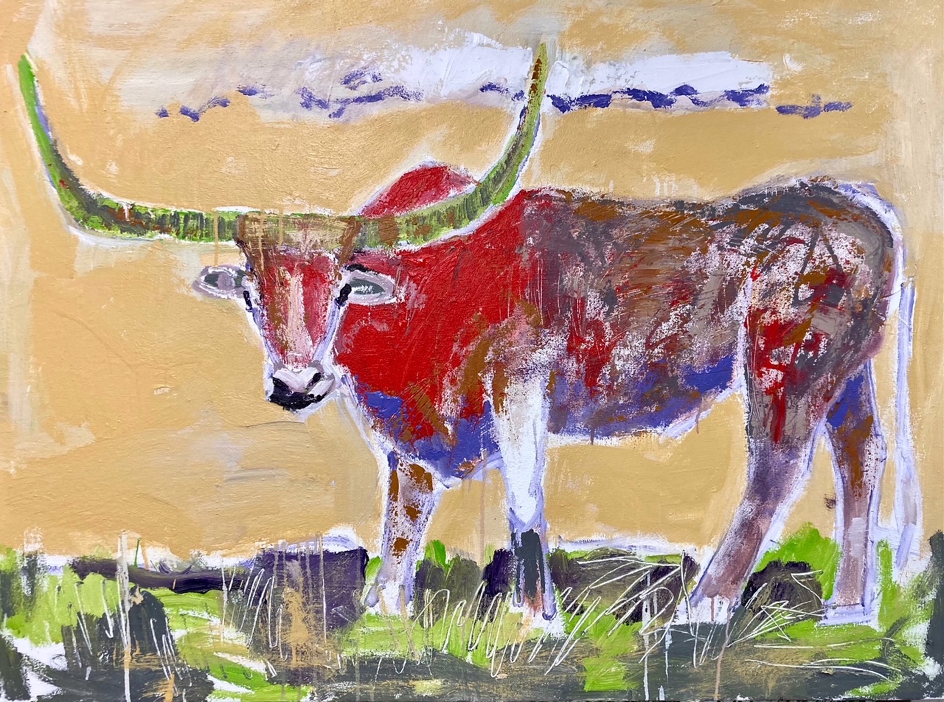 Longhorn with clouds by Brad Smith