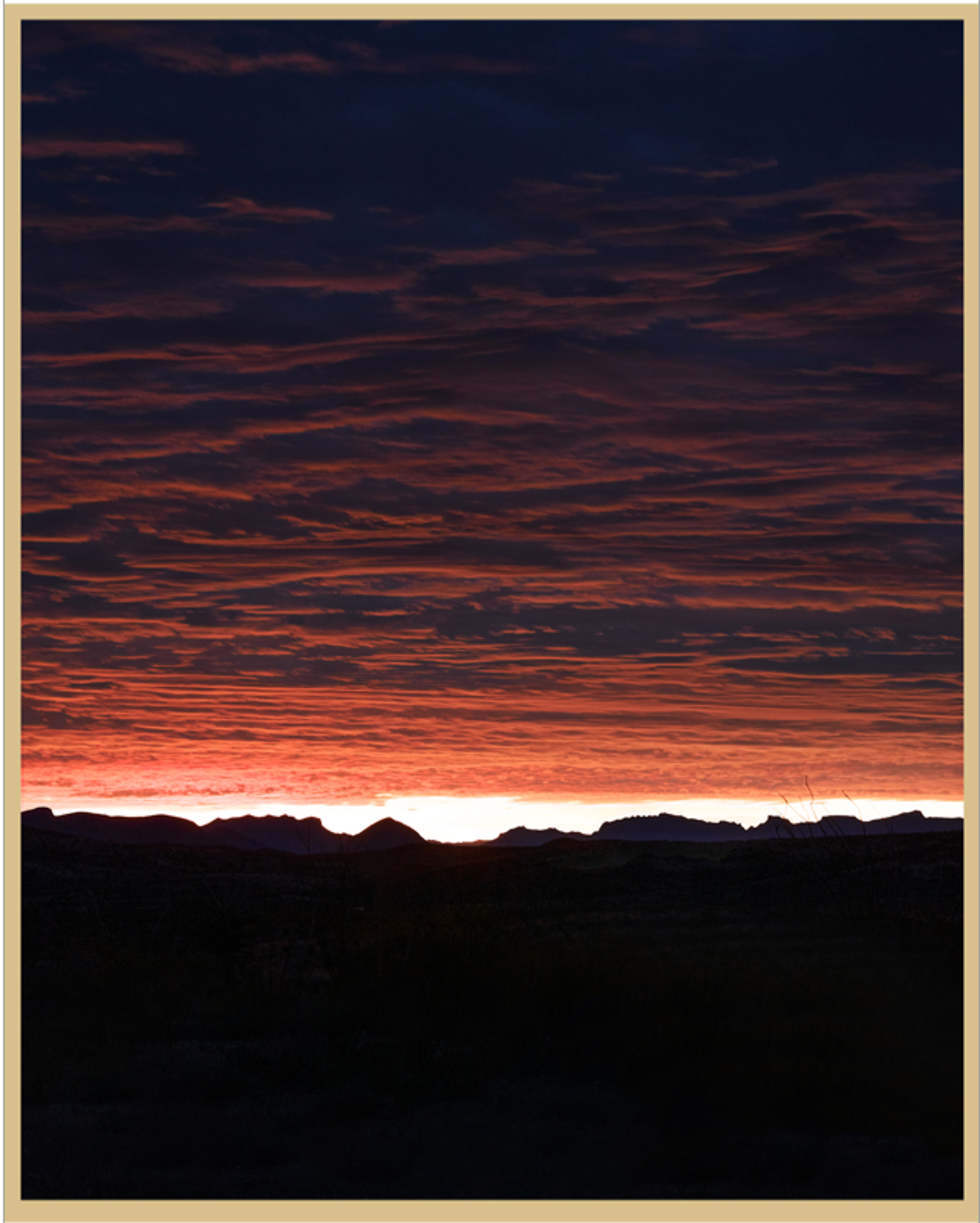 First Light, Chisos by Sarah Wilson