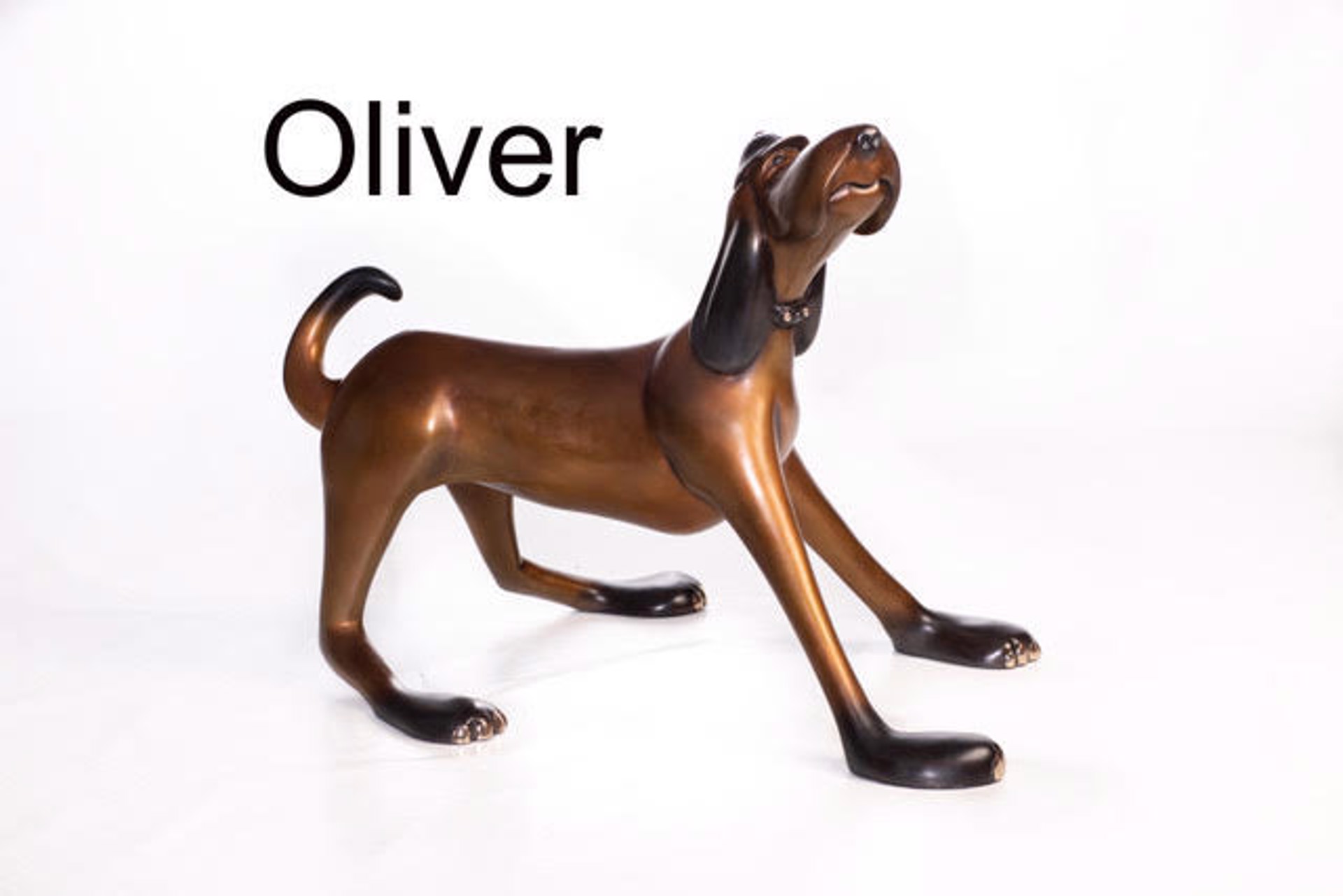 Oliver by Marty Goldstein