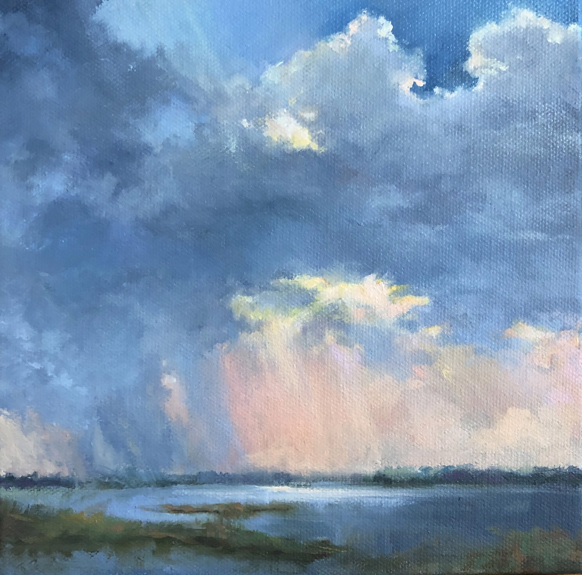 Early Rain by Lynne Polley