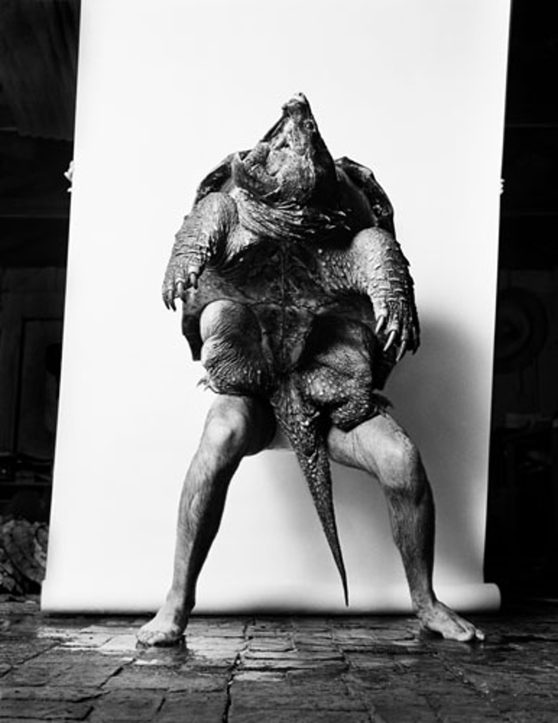 Turtle Man by George Krause