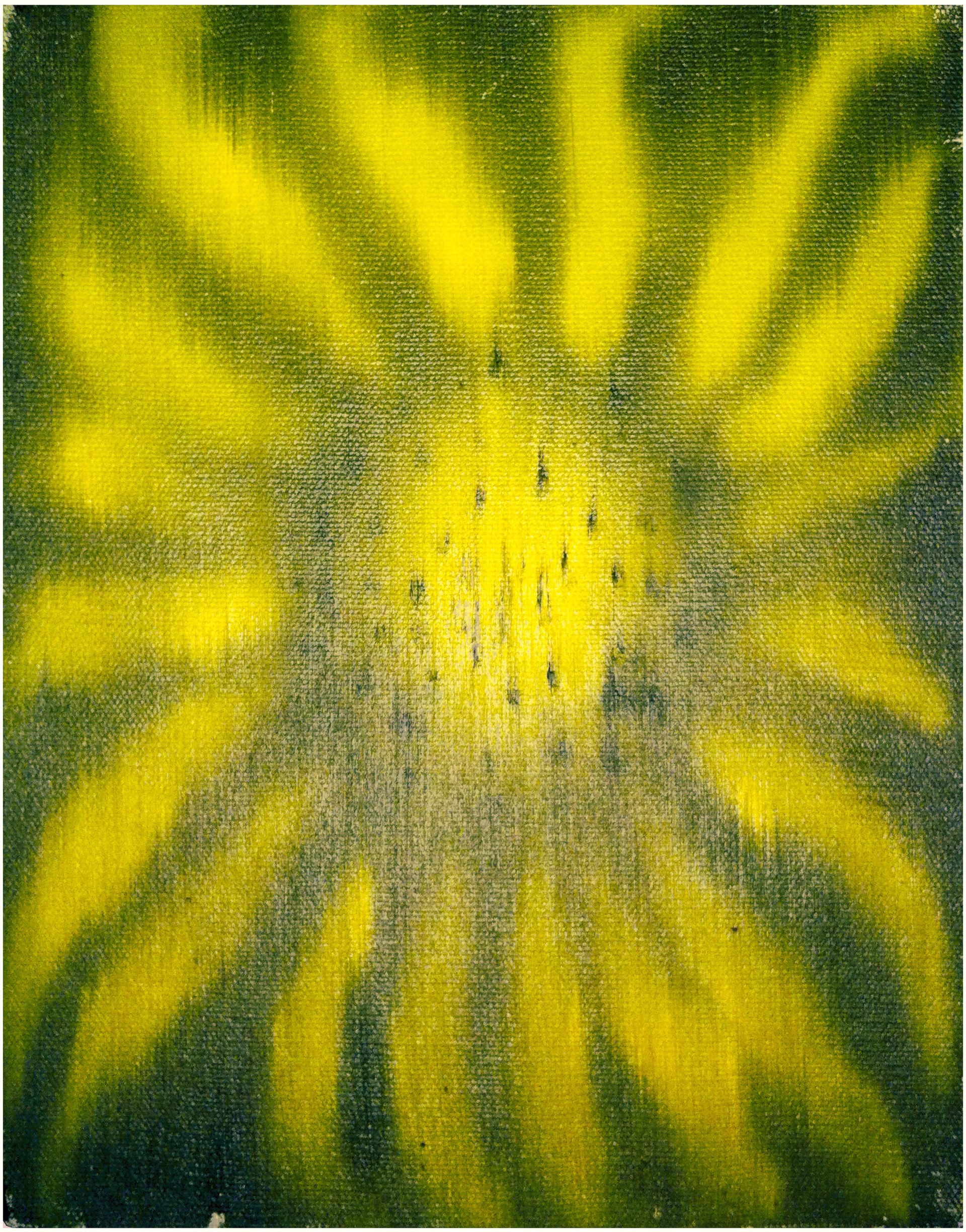 Sunflower by Ross Bleckner