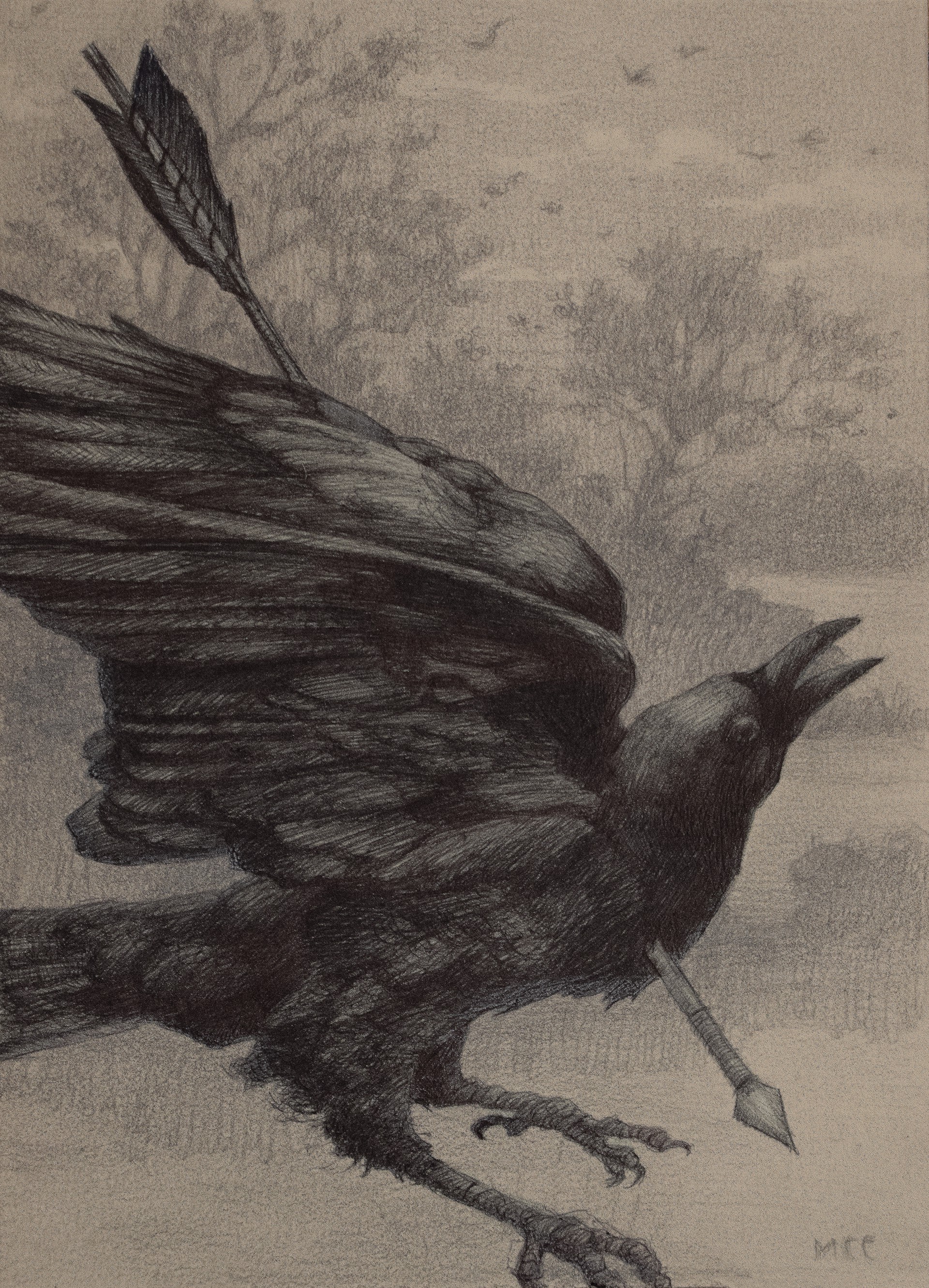 Black Bird Flying by Mary Carroll
