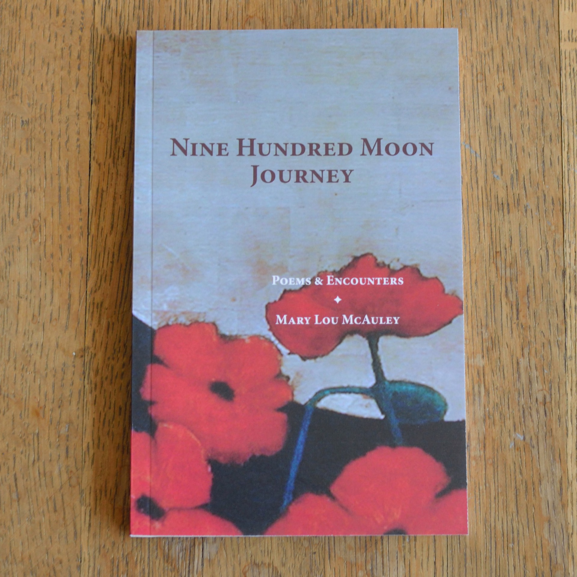 Nine Hundred Moon Journey by Mary Lou McAuley