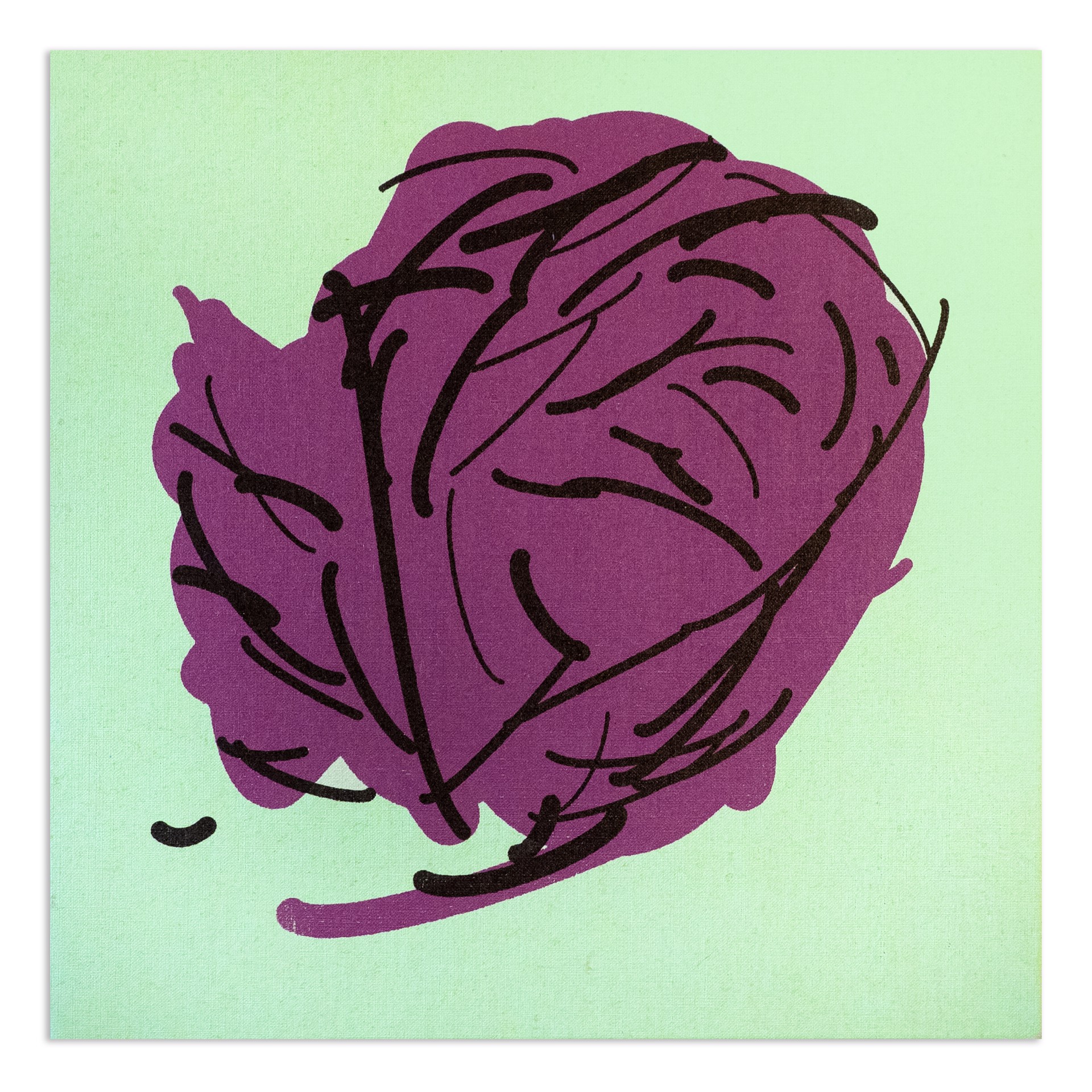 Purple Cabbage by Tom White