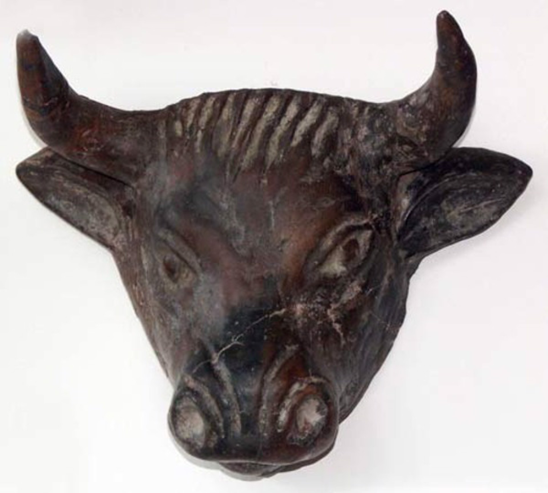 Cow's Head by Mexican