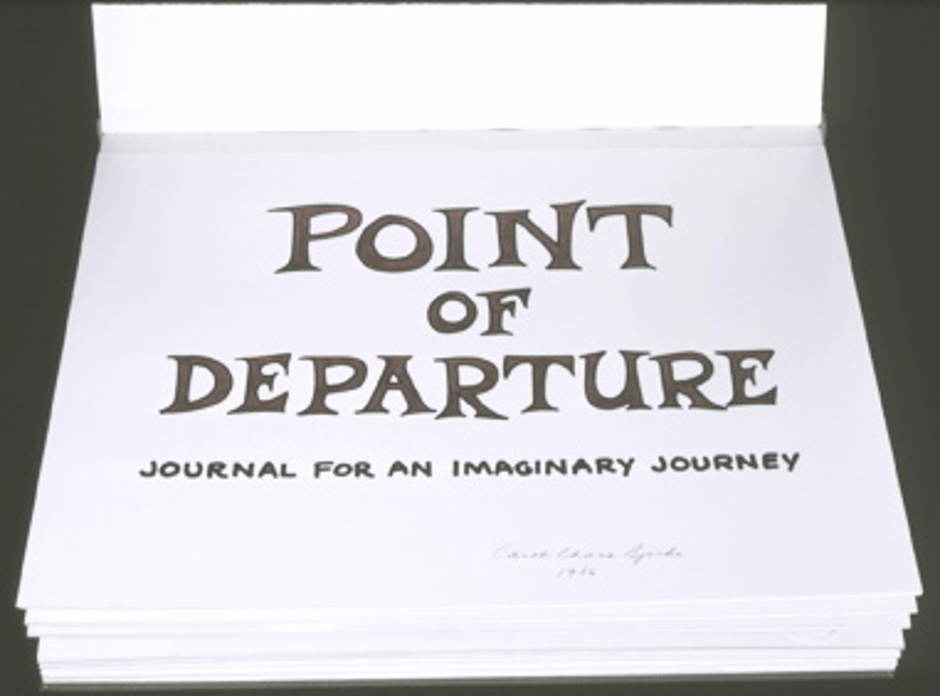 Points of Departure by Carol Chase Bjerke