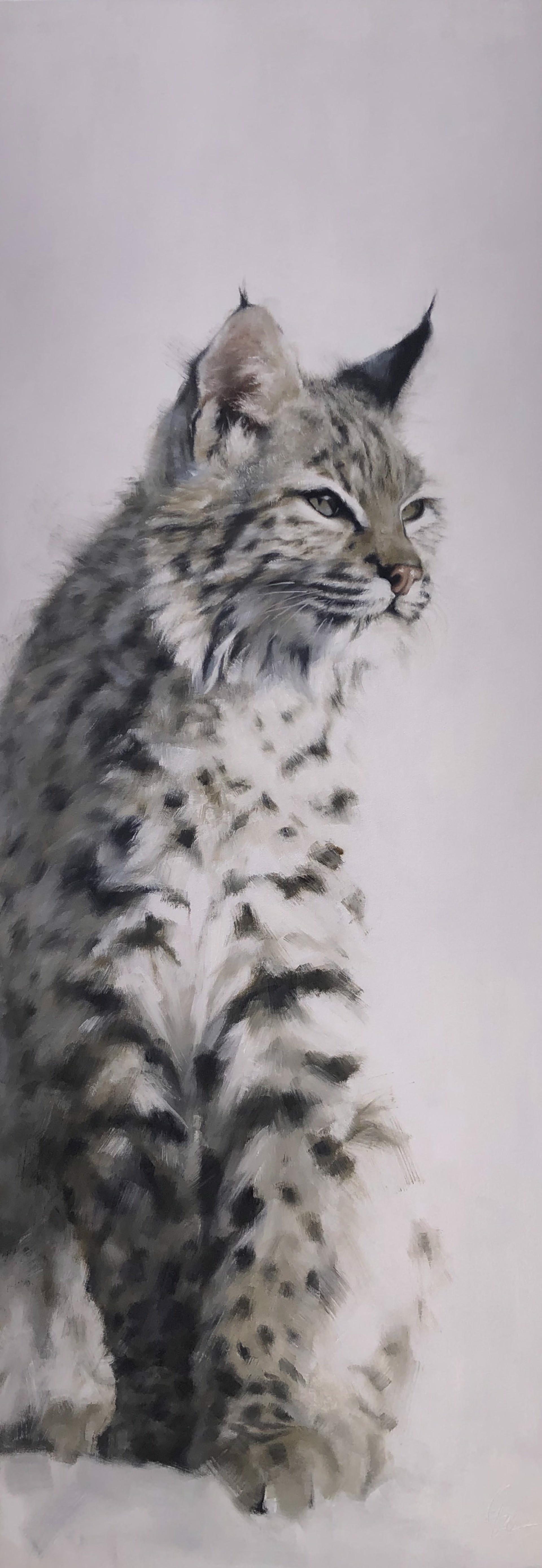 A Contemporary Painting Of A Bobcat Sitting In A Muted Palette By Doyle Hostetler At Gallery Wild