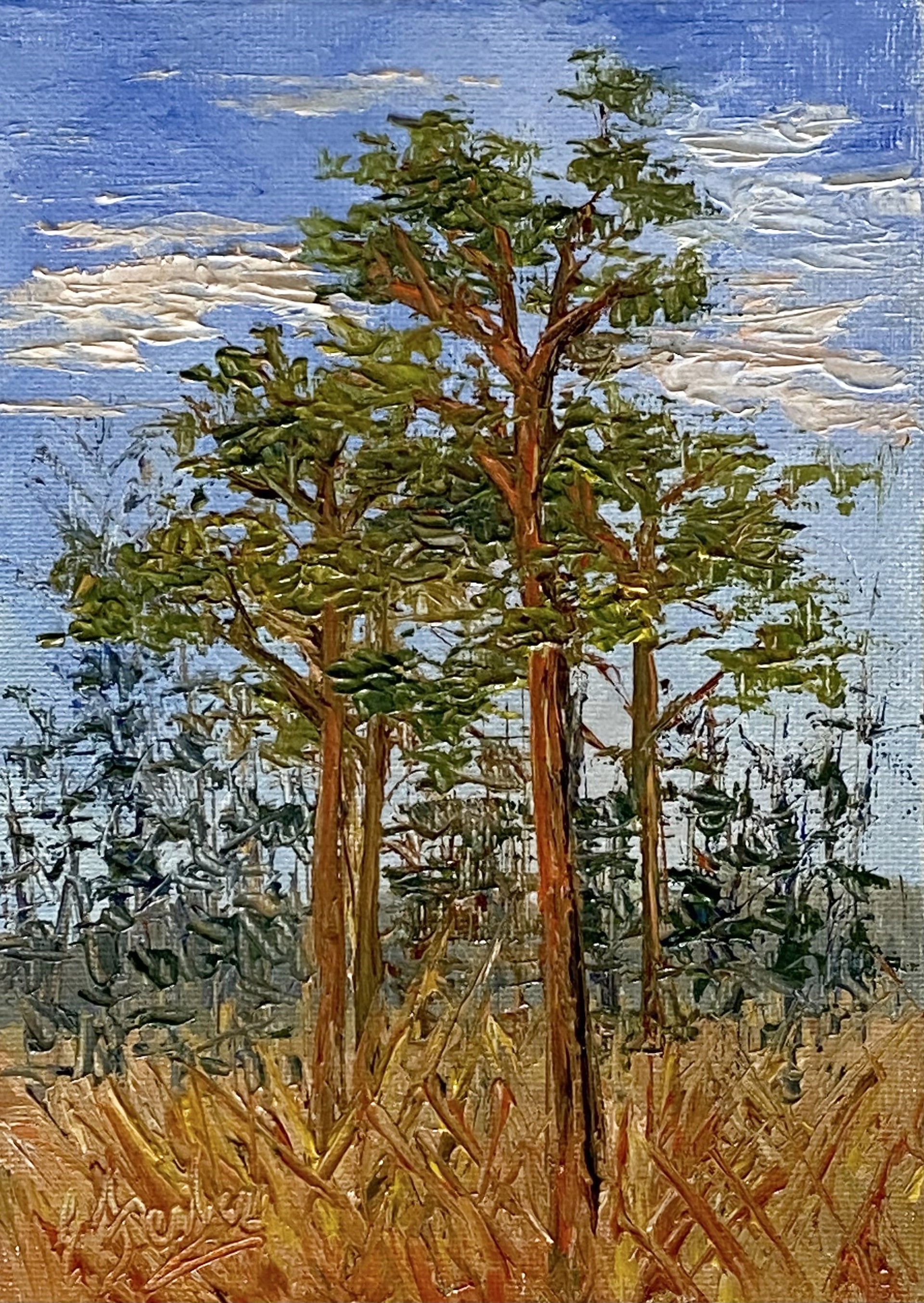 Pines by Elisabeth Ferber