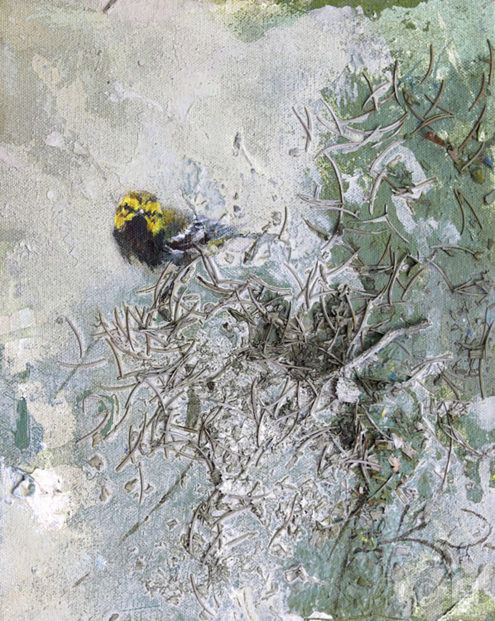Black-Throated Green Warbler by Justin Kellner