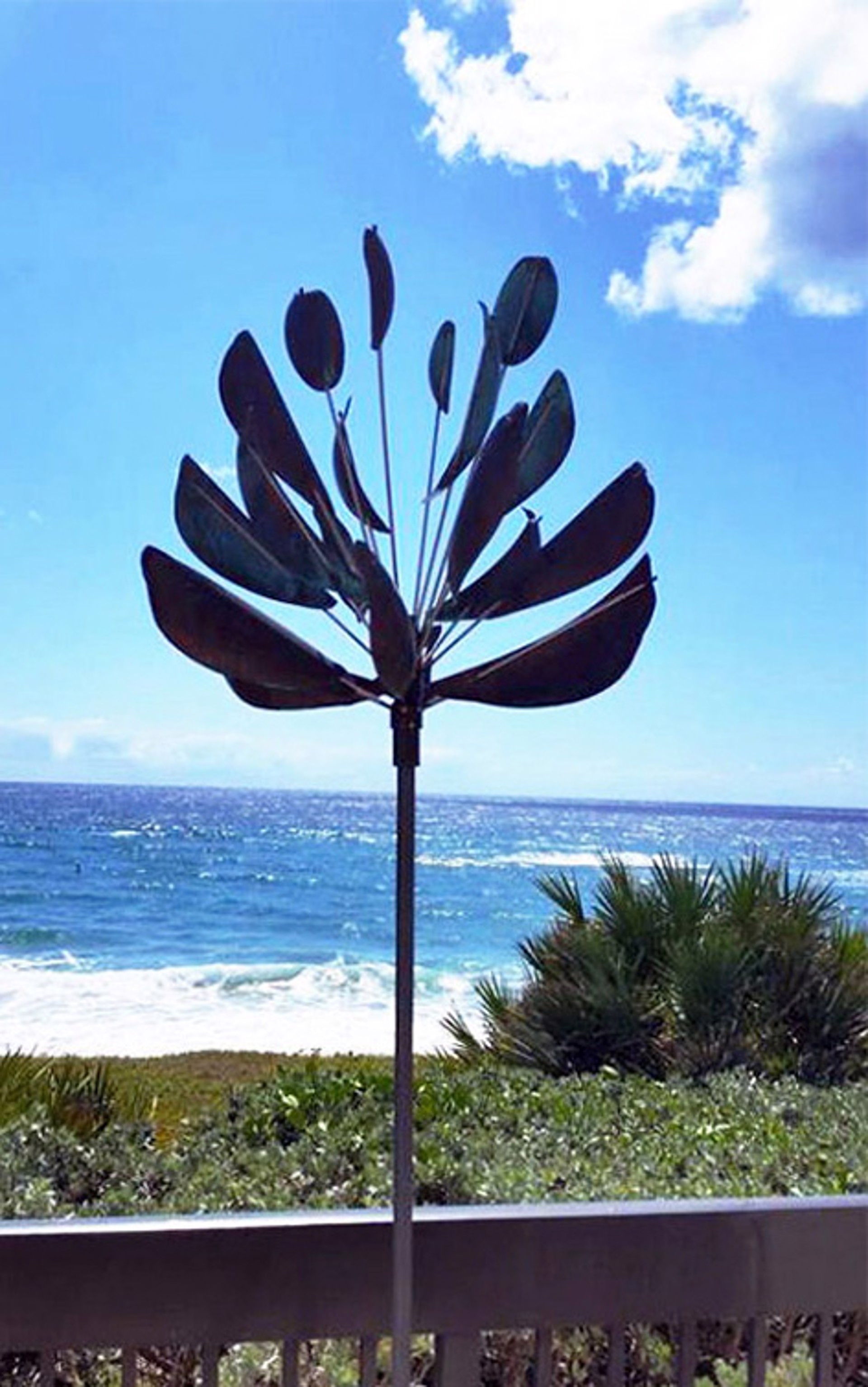 Agave by Lyman Whitaker