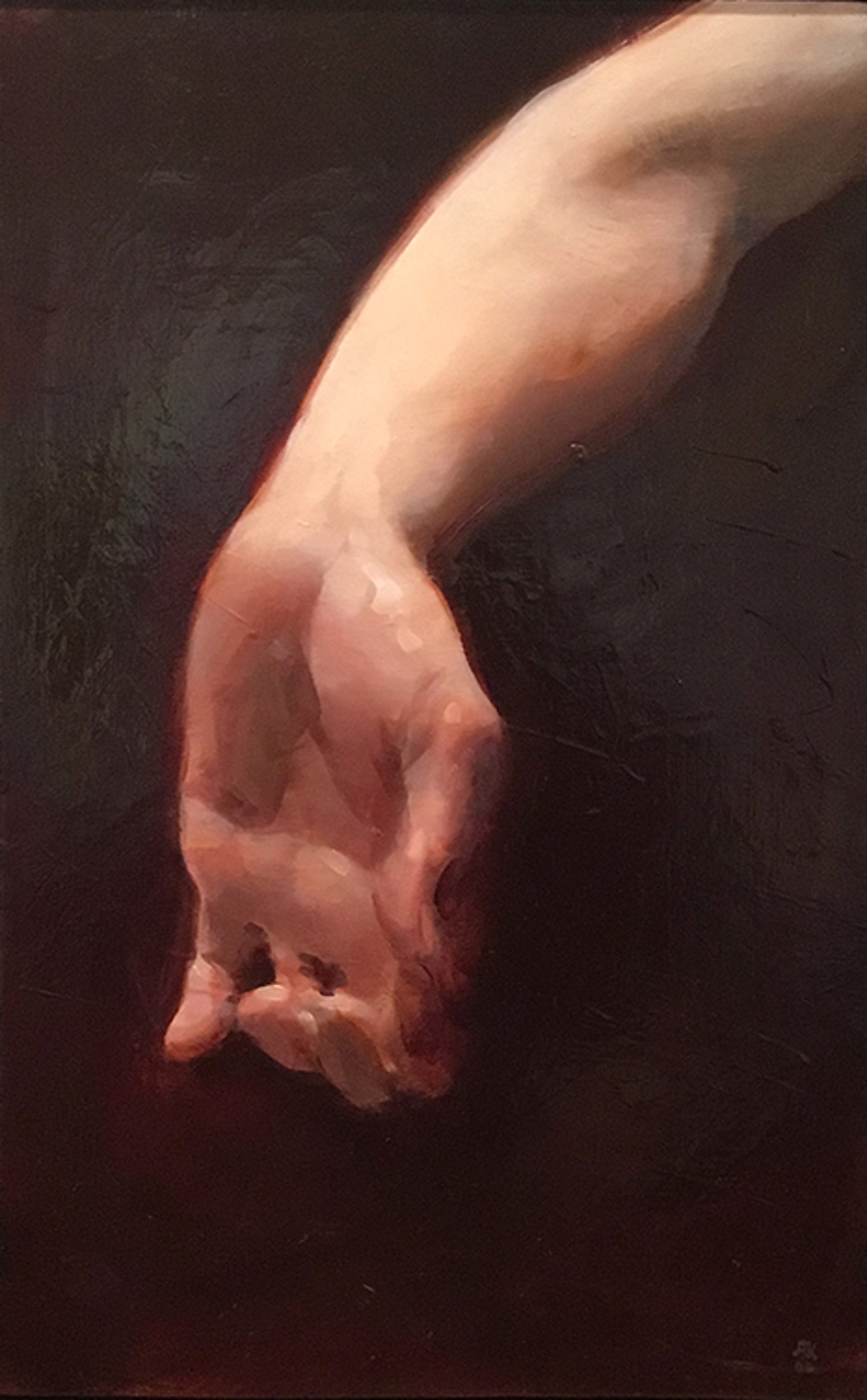 A Hand is a Fish by Alex Kanevsky