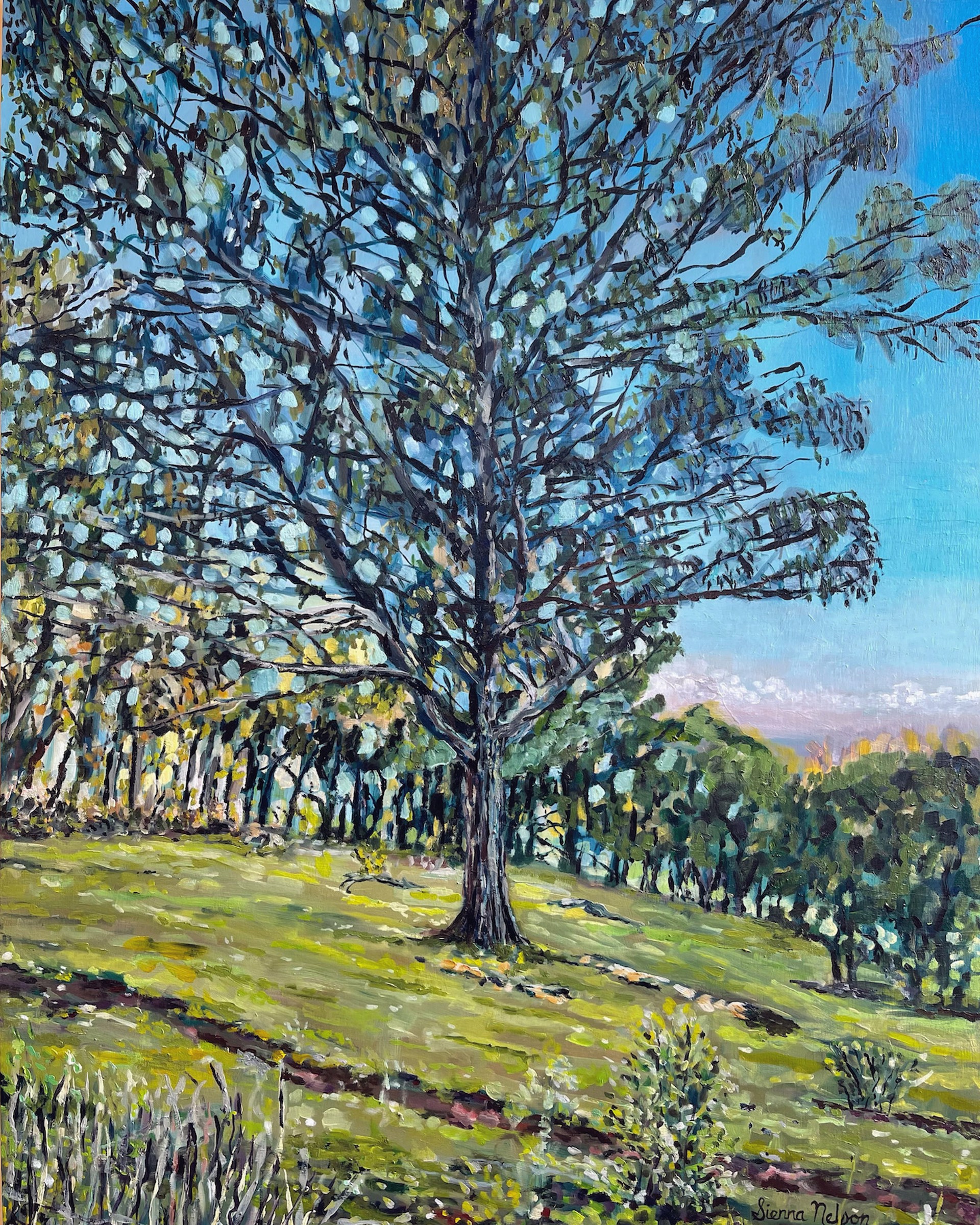 Upcountry Trees by Sienna Nelson