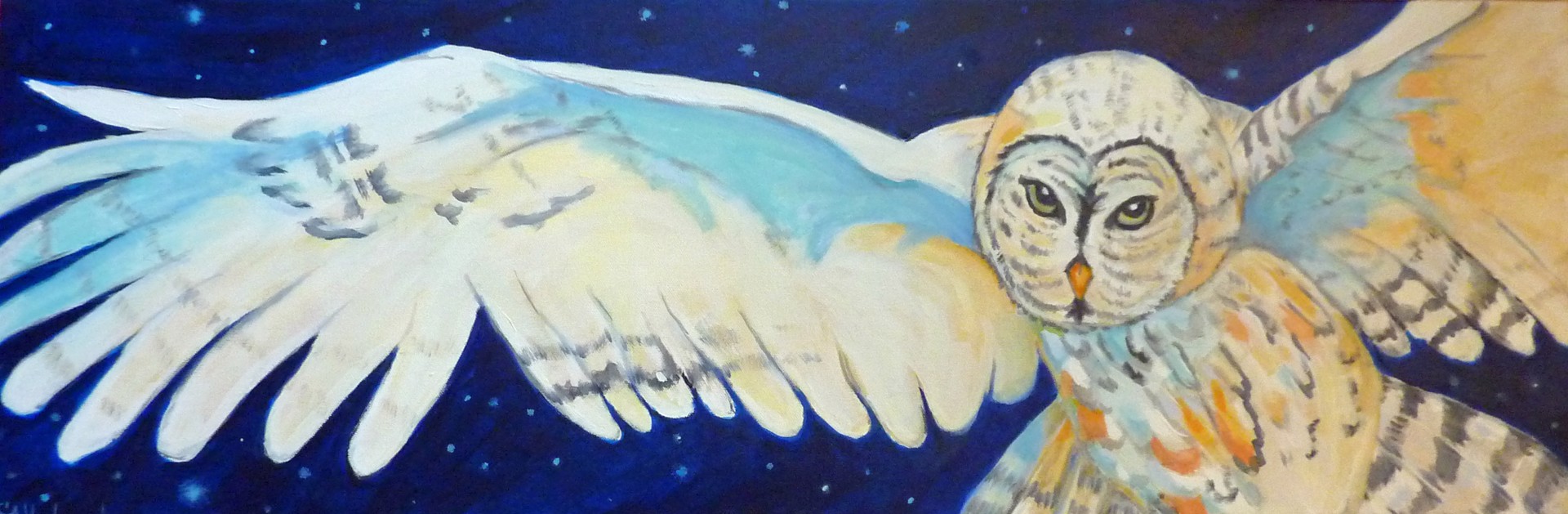 Starry Nights by Cindi Underwood