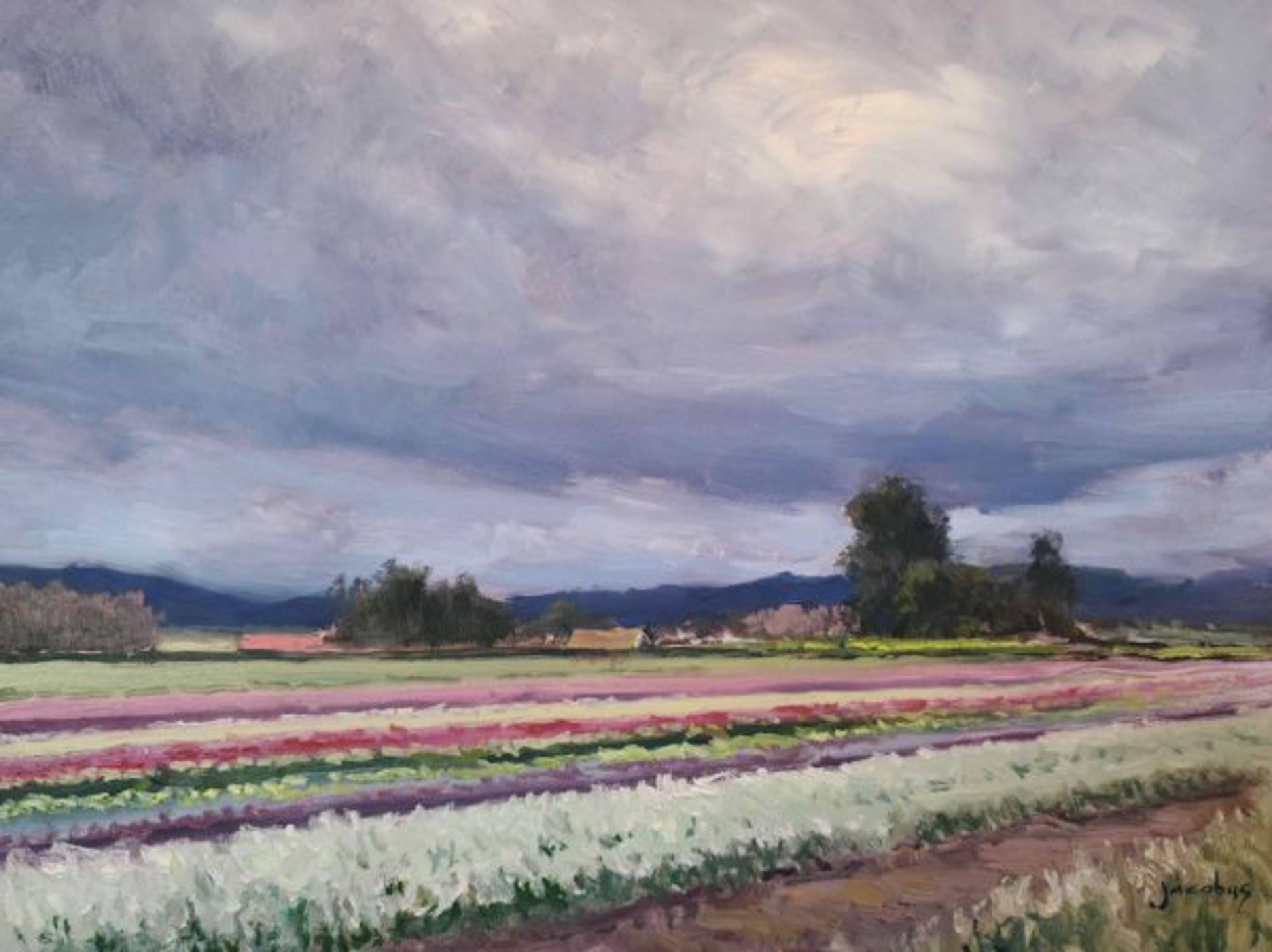 Storm Clouds Over Flower Fields by Jacobus Baas