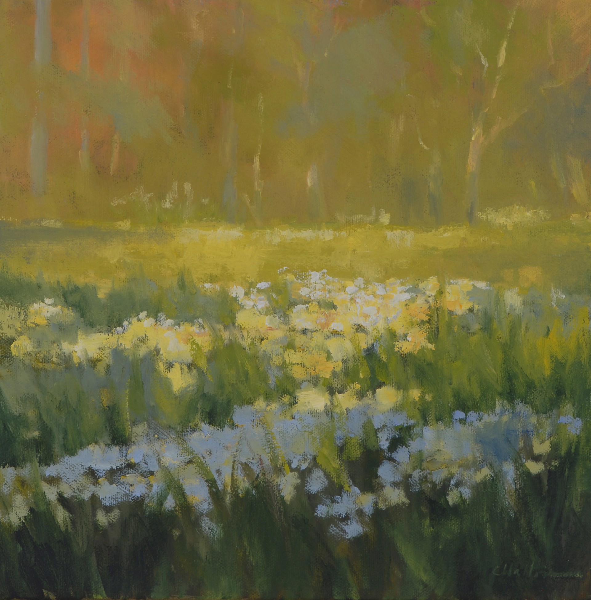 Spring Blooms by Carolyn Walton