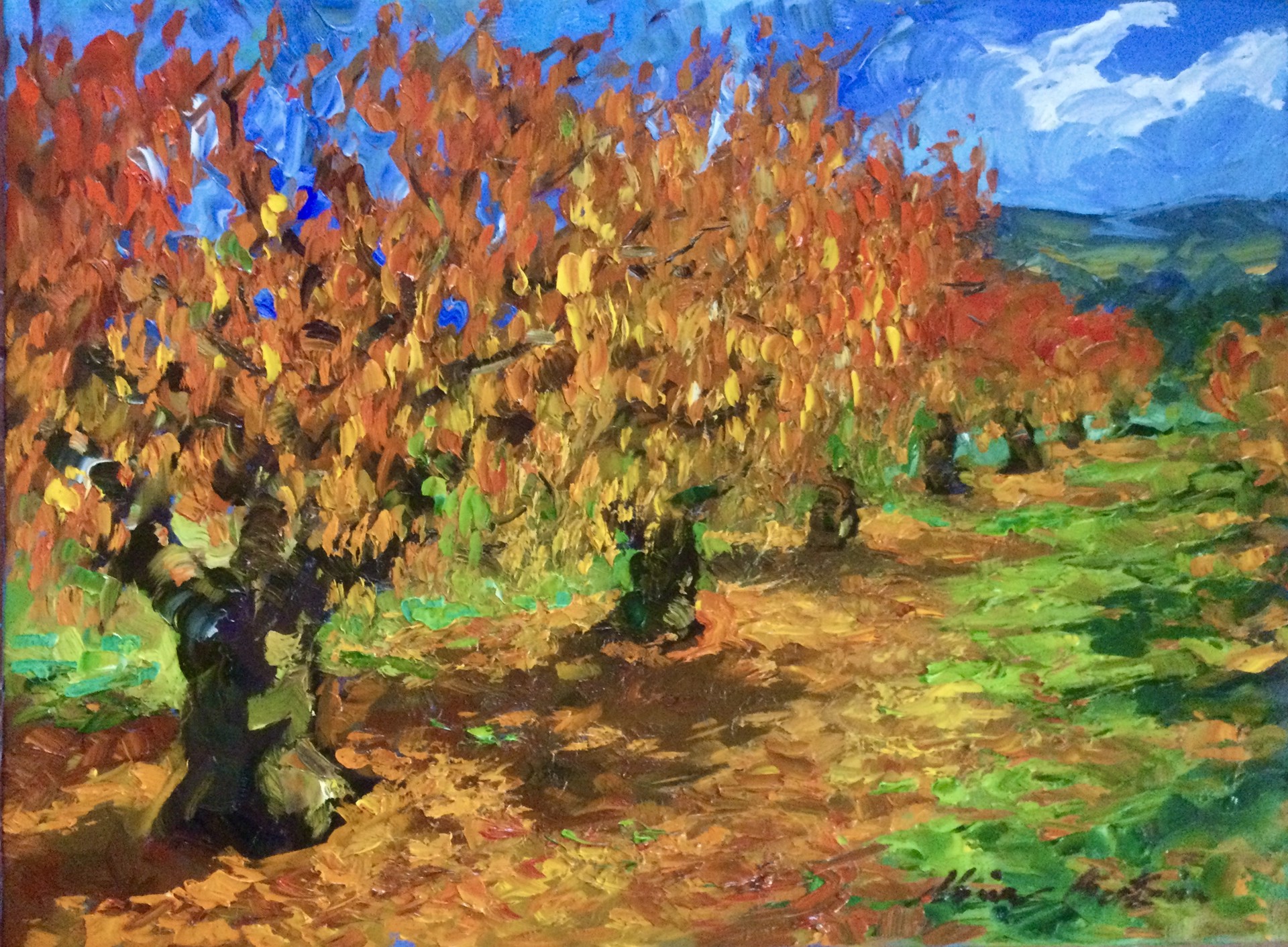 Luberon Cherry Orchard In The Fall by Maria Bertrán