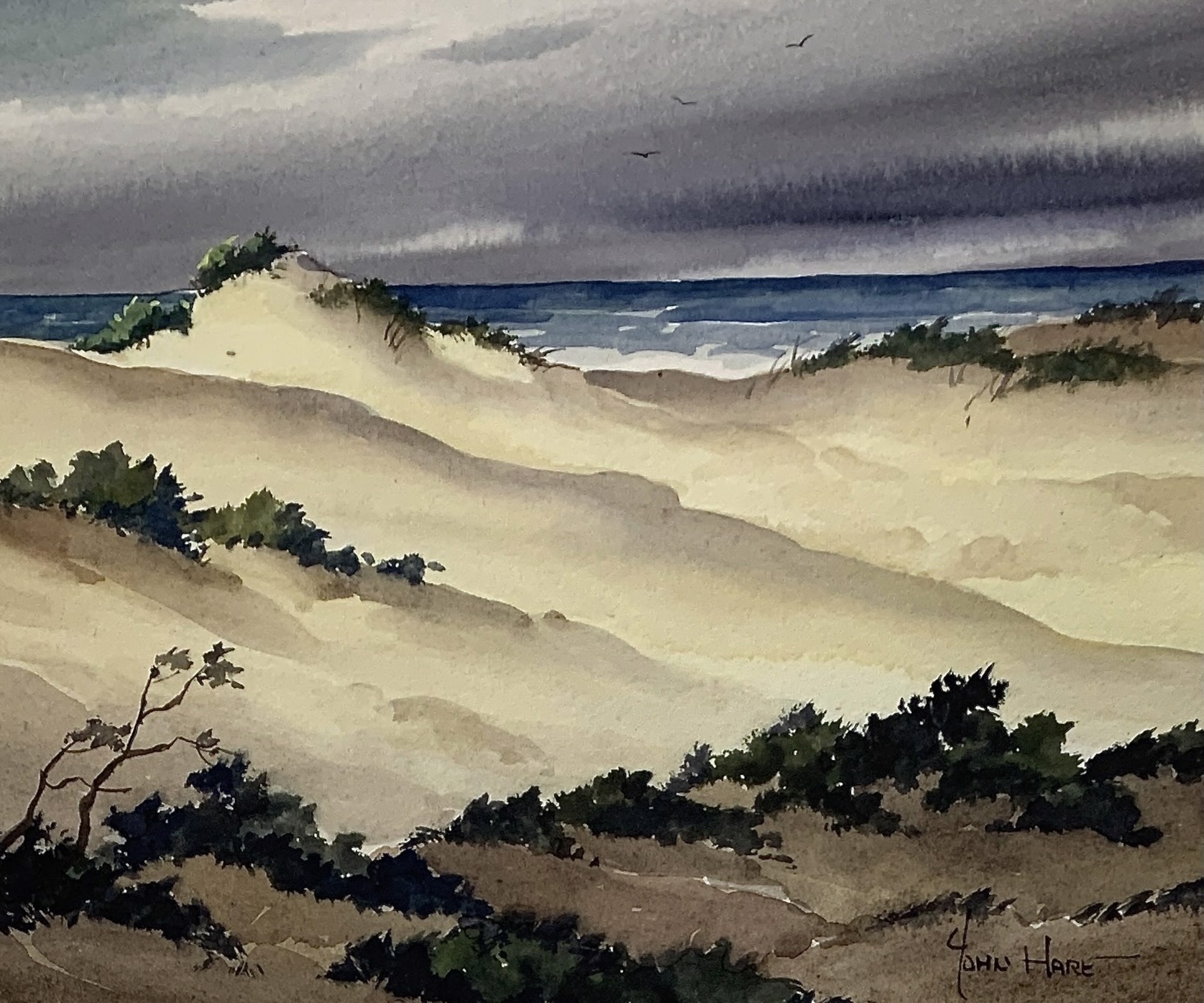 Dunes by John Cuthbert Hare
