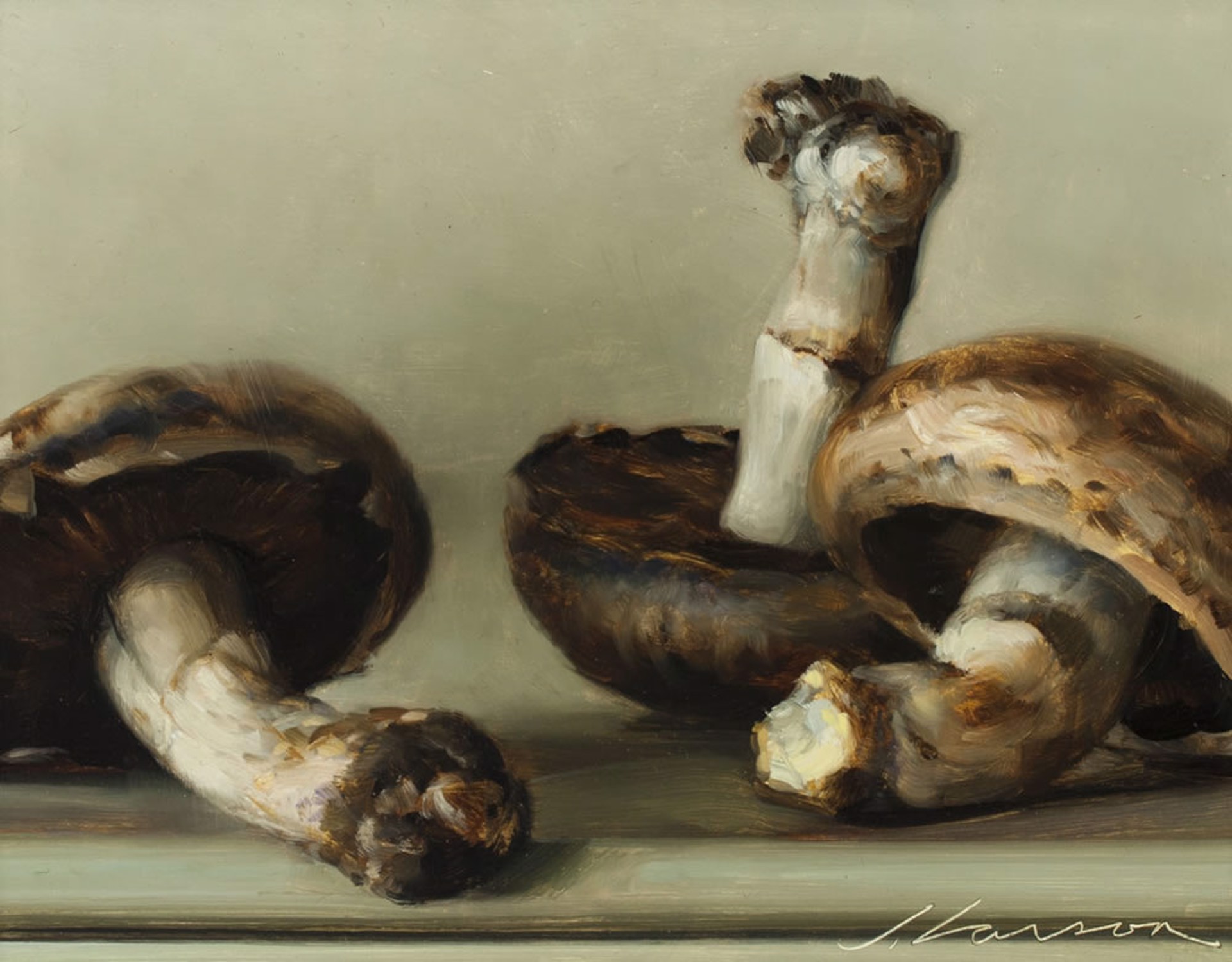 Portobello Mushrooms by Jeffrey T. Larson