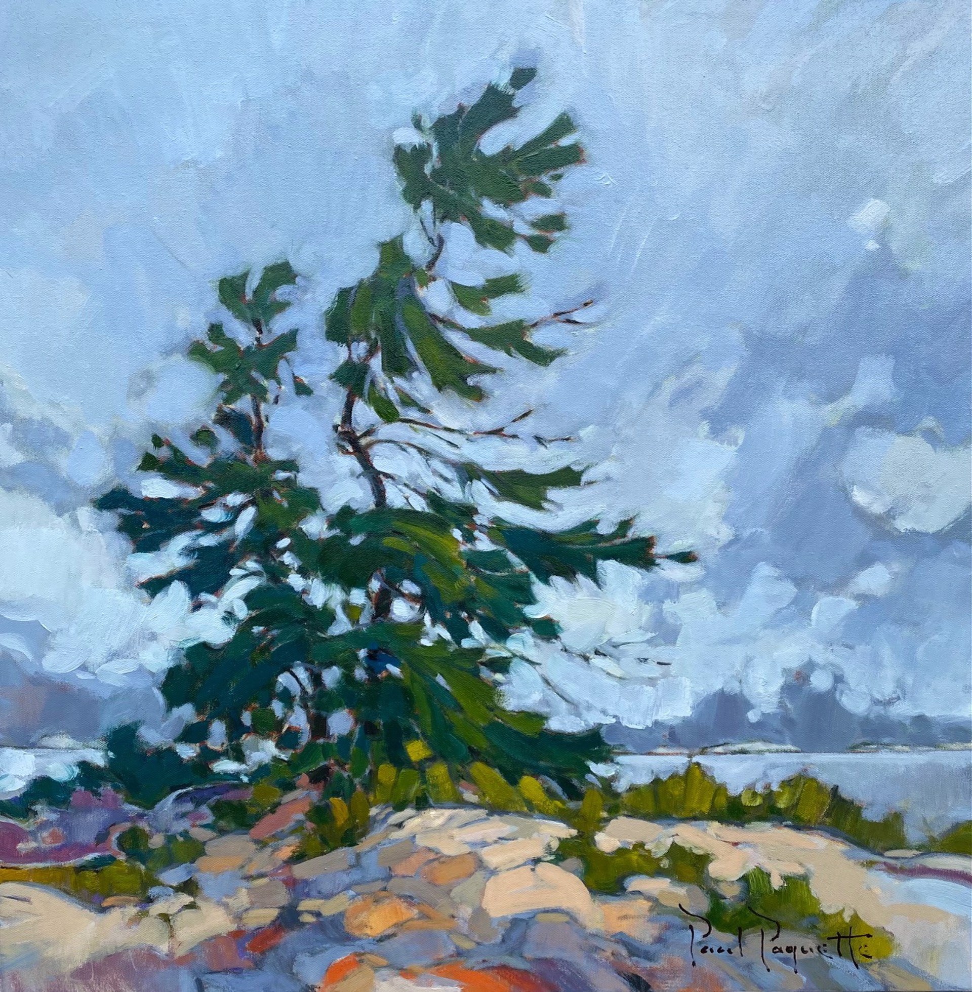 Tranquil Trees by PAUL PAQUETTE