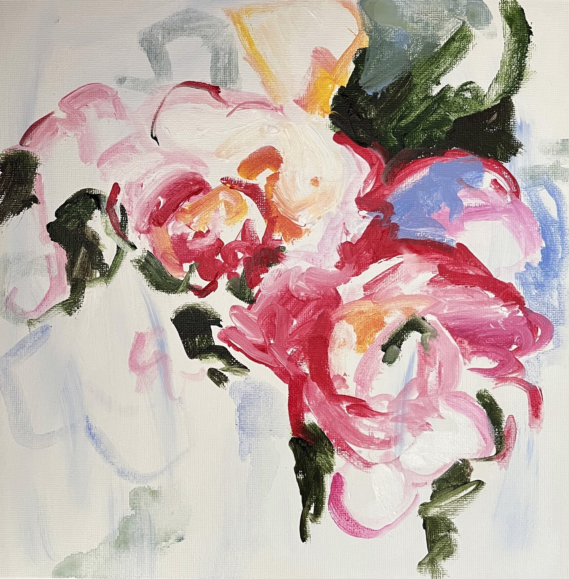 Rose Study I by Elizabeth Cabell