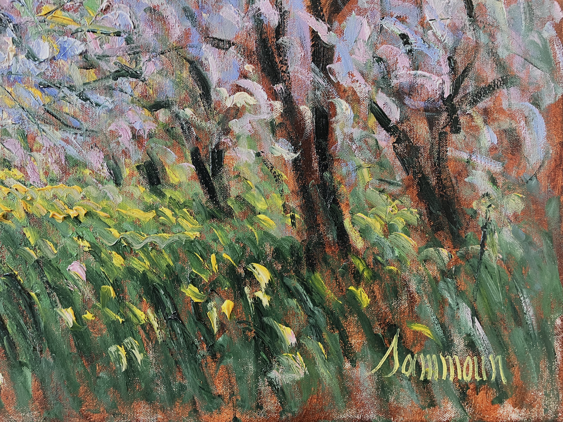 Cerisiers, Mois de Mai by Samir Sammoun