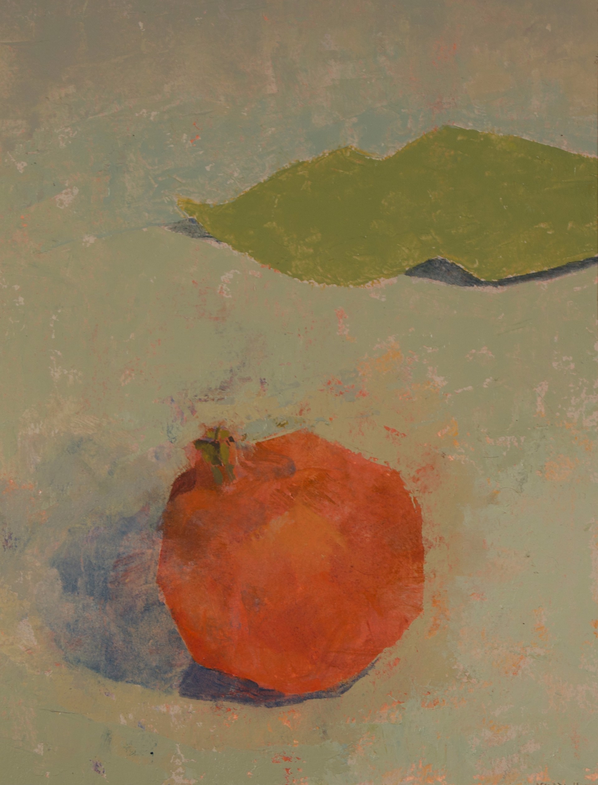 Pomegranate & Magnolia by Chris Liberti