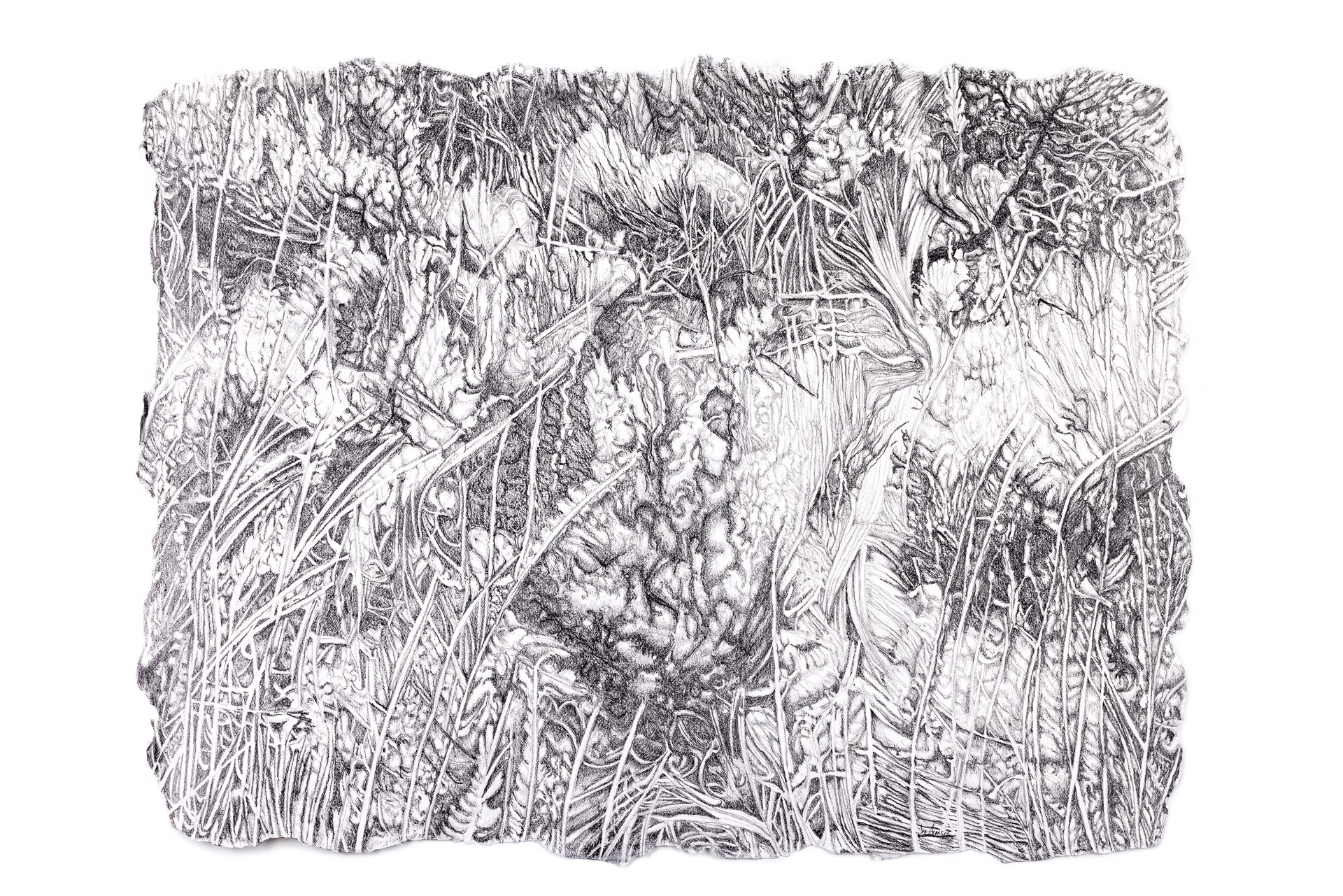 Sagebrush #4 by Jan Aronson
