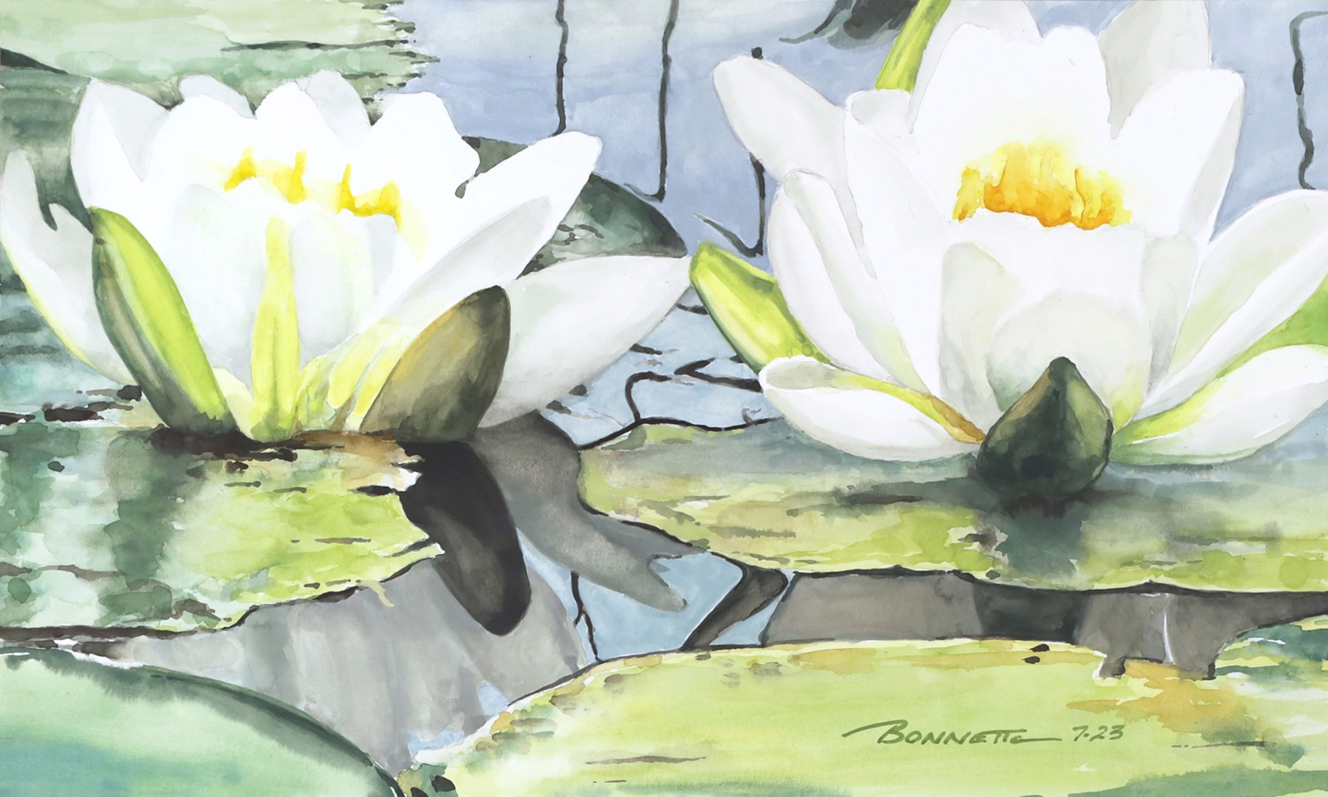 Buntes Water Lilies by Mark Bonnette