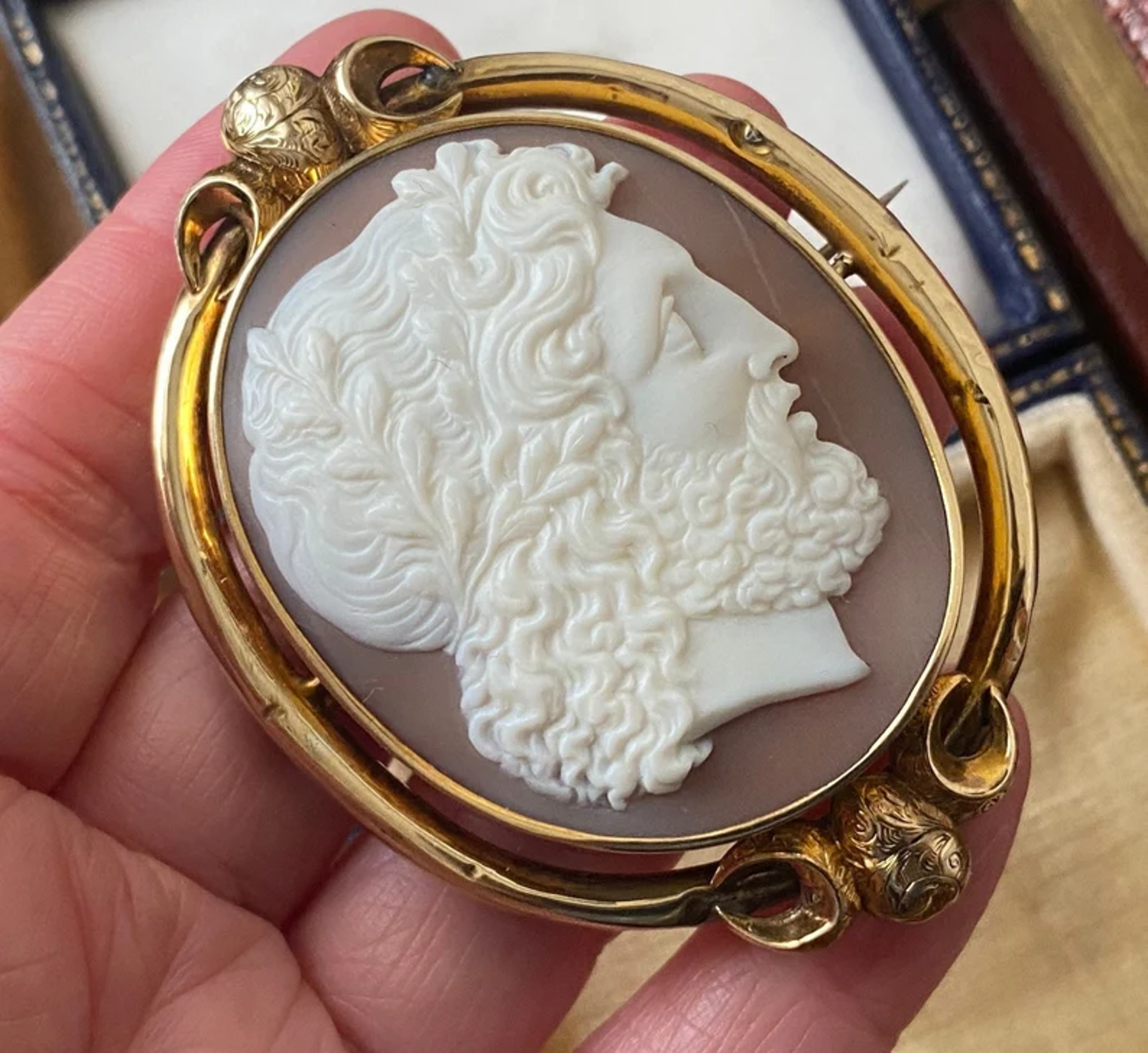 Victorian Zeus god carved Italian shell cameo brooch/pin, signed by Cameo