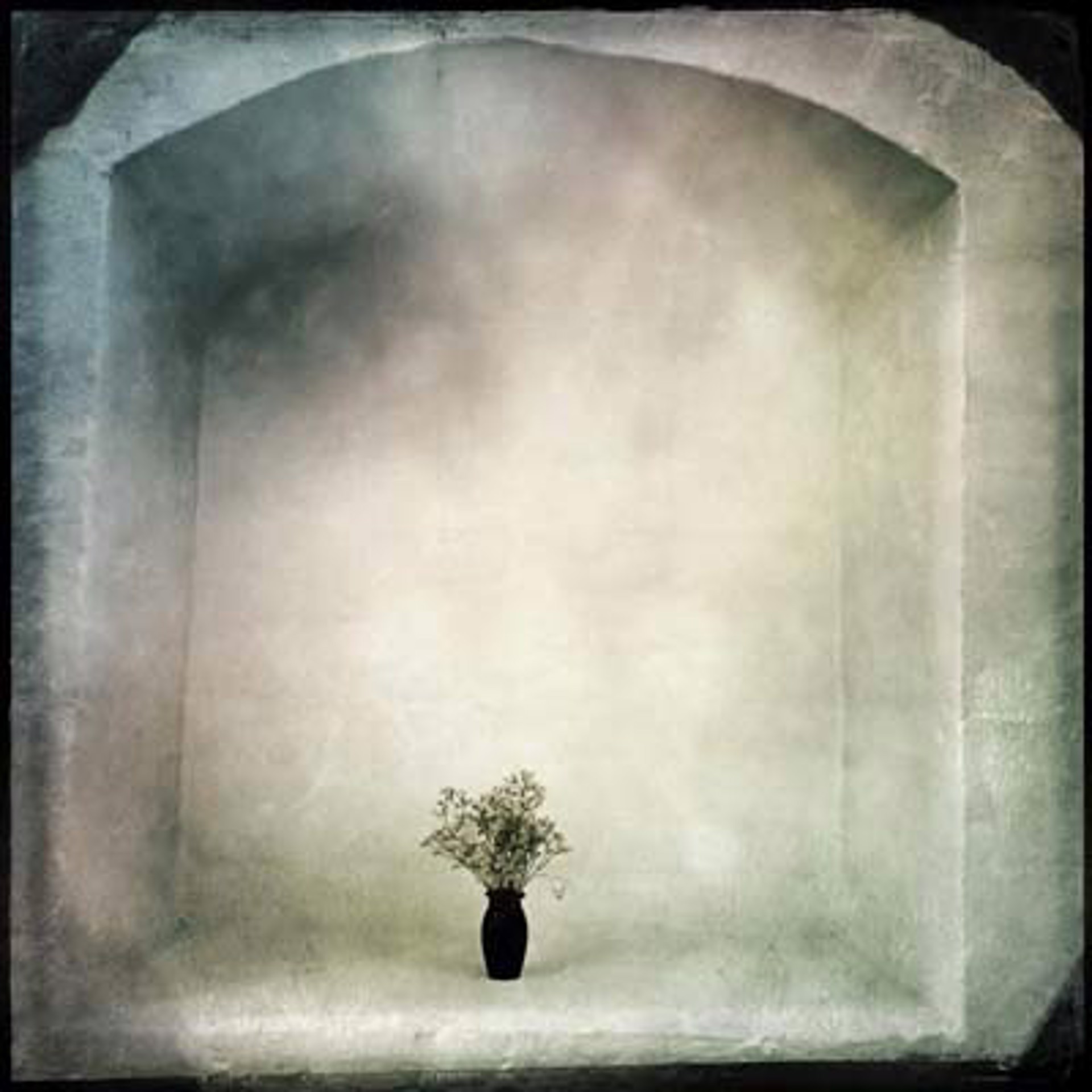 Black Vase by Arlene Stanger