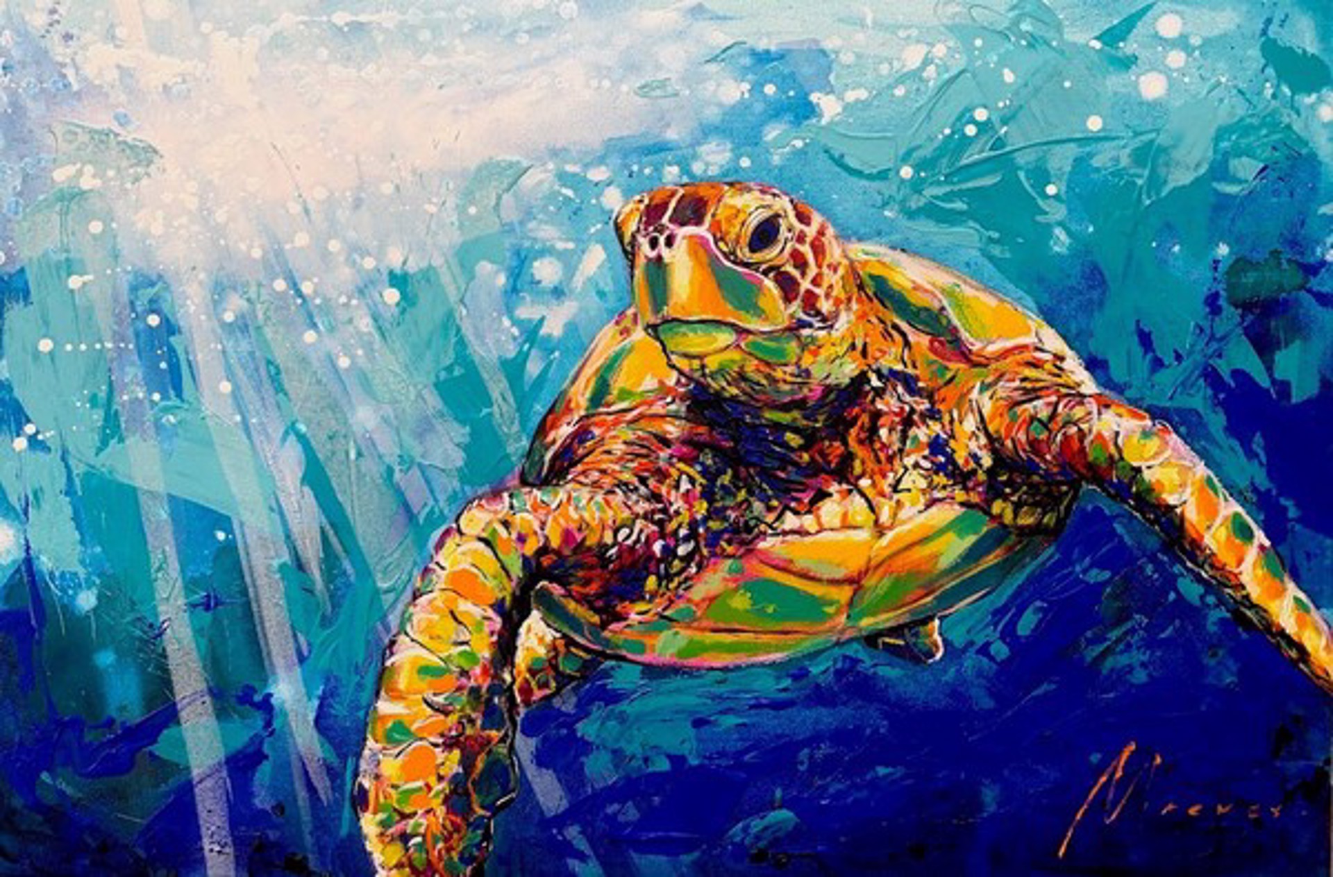King of the Coast by Shawn Mackey