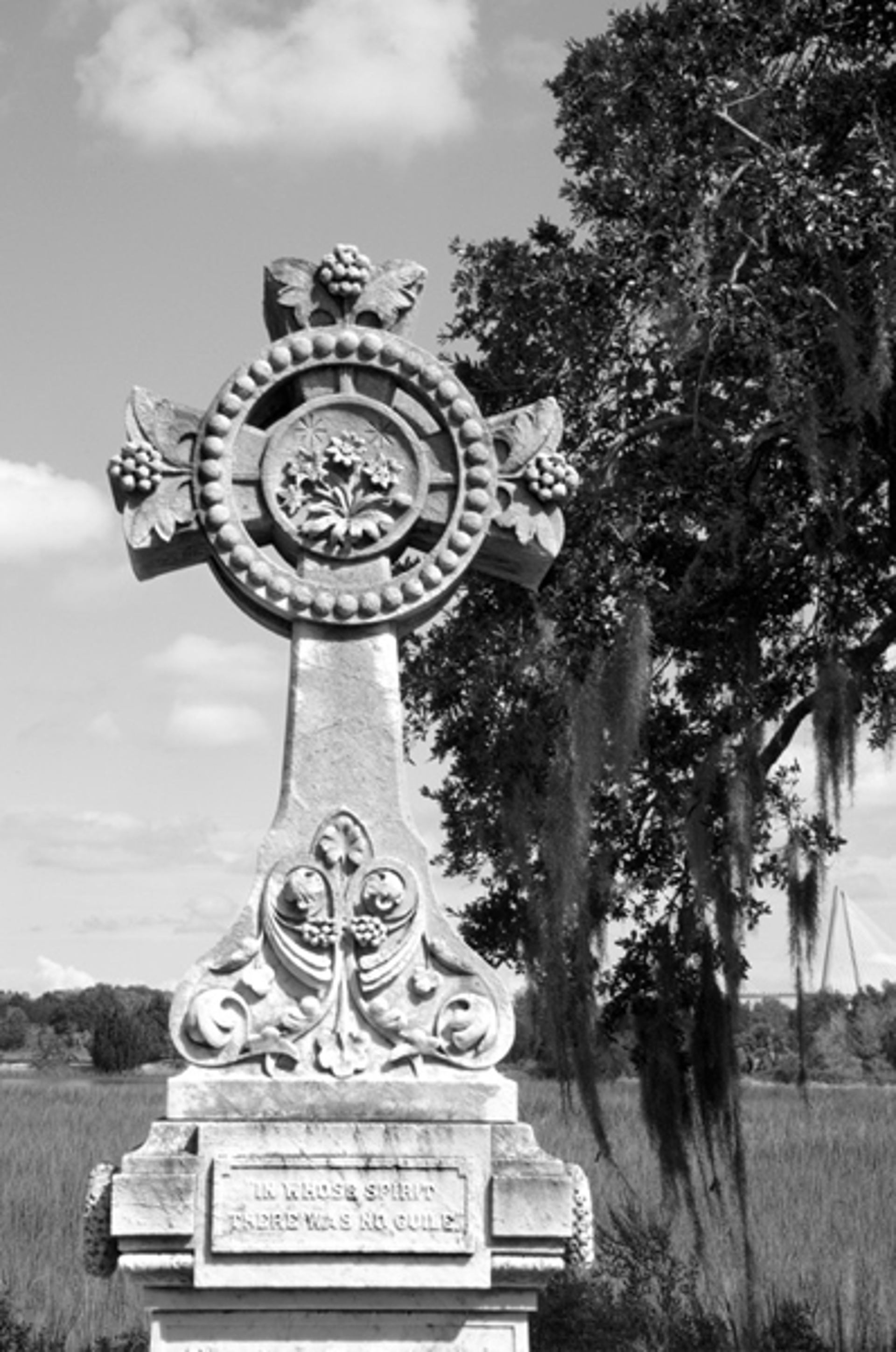 Celtic Cross, Magnolia Cemetary, Charleston by Ron Rocz
