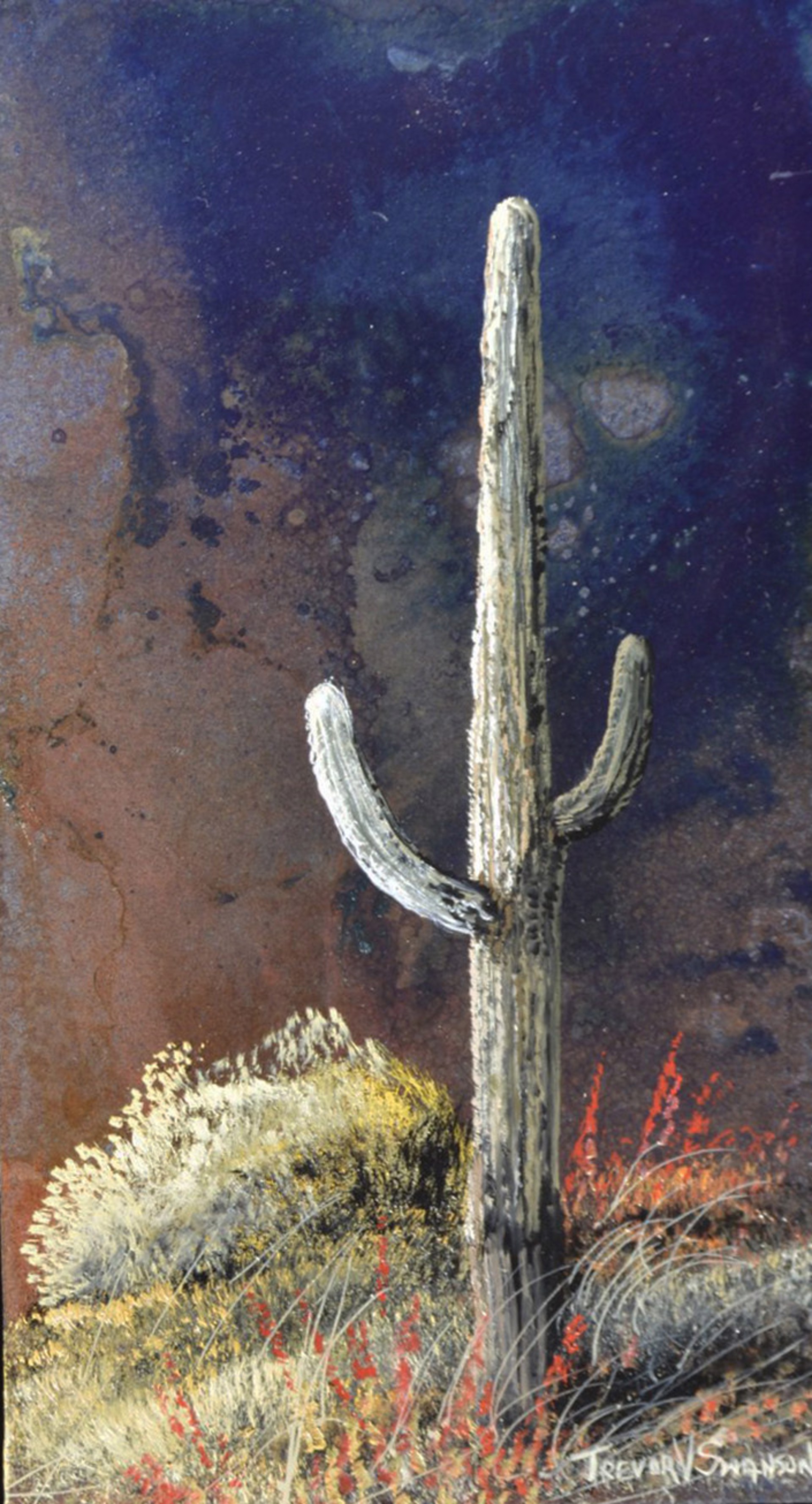 Saguaro by Trevor Swanson