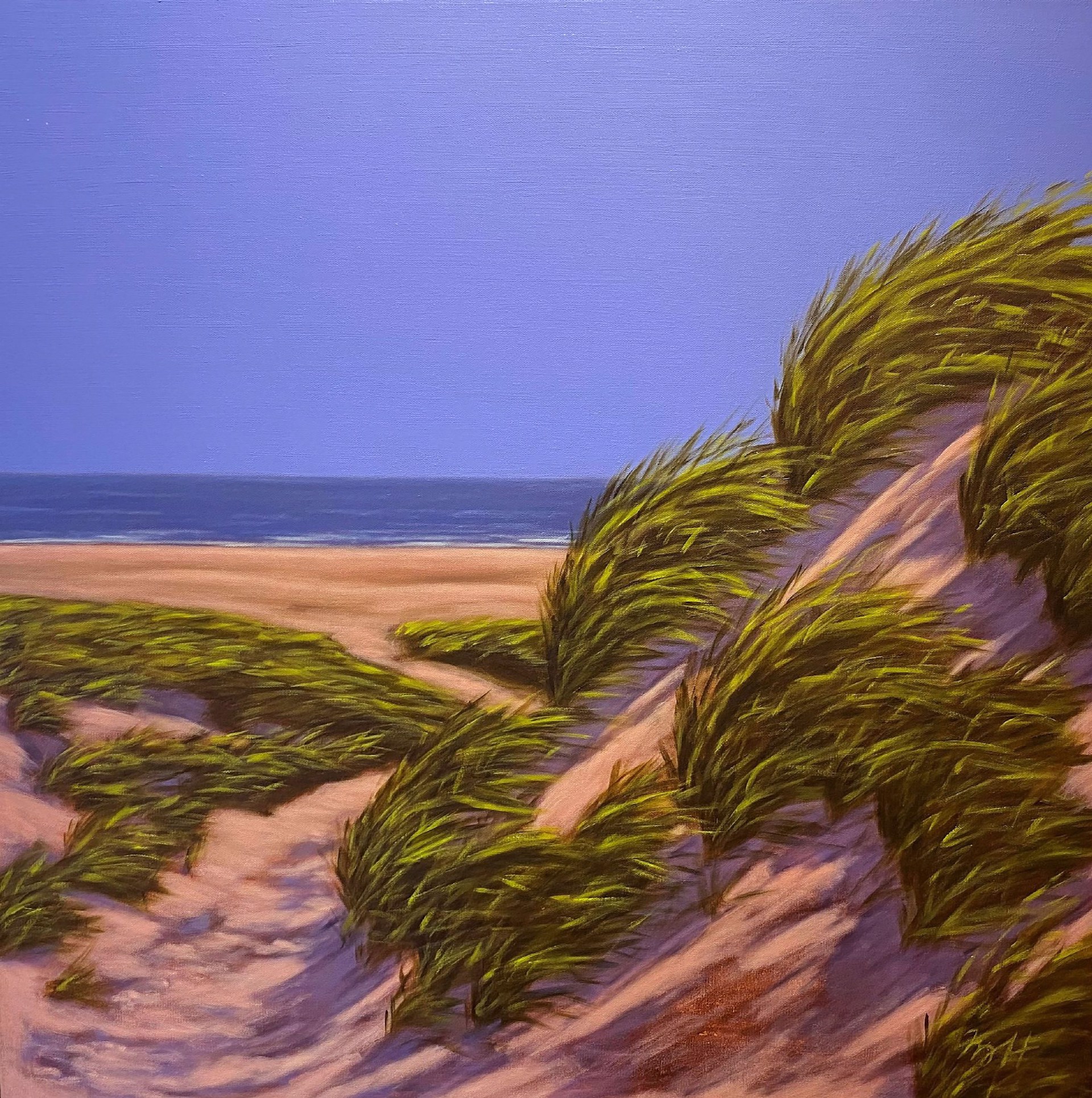 Dune Breezes by Michael Hartwig