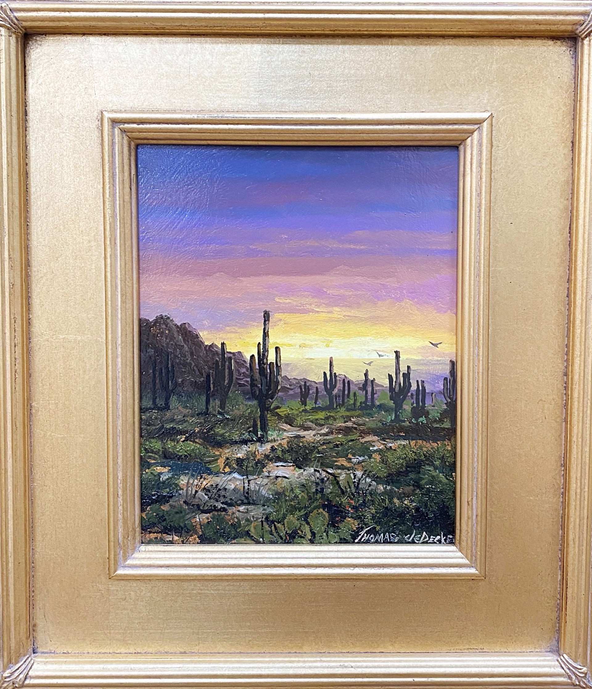 Arizona Sunset by Thomas deDecker