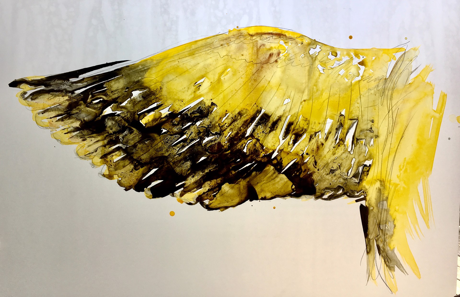Wing (yellow) by Mark Adams