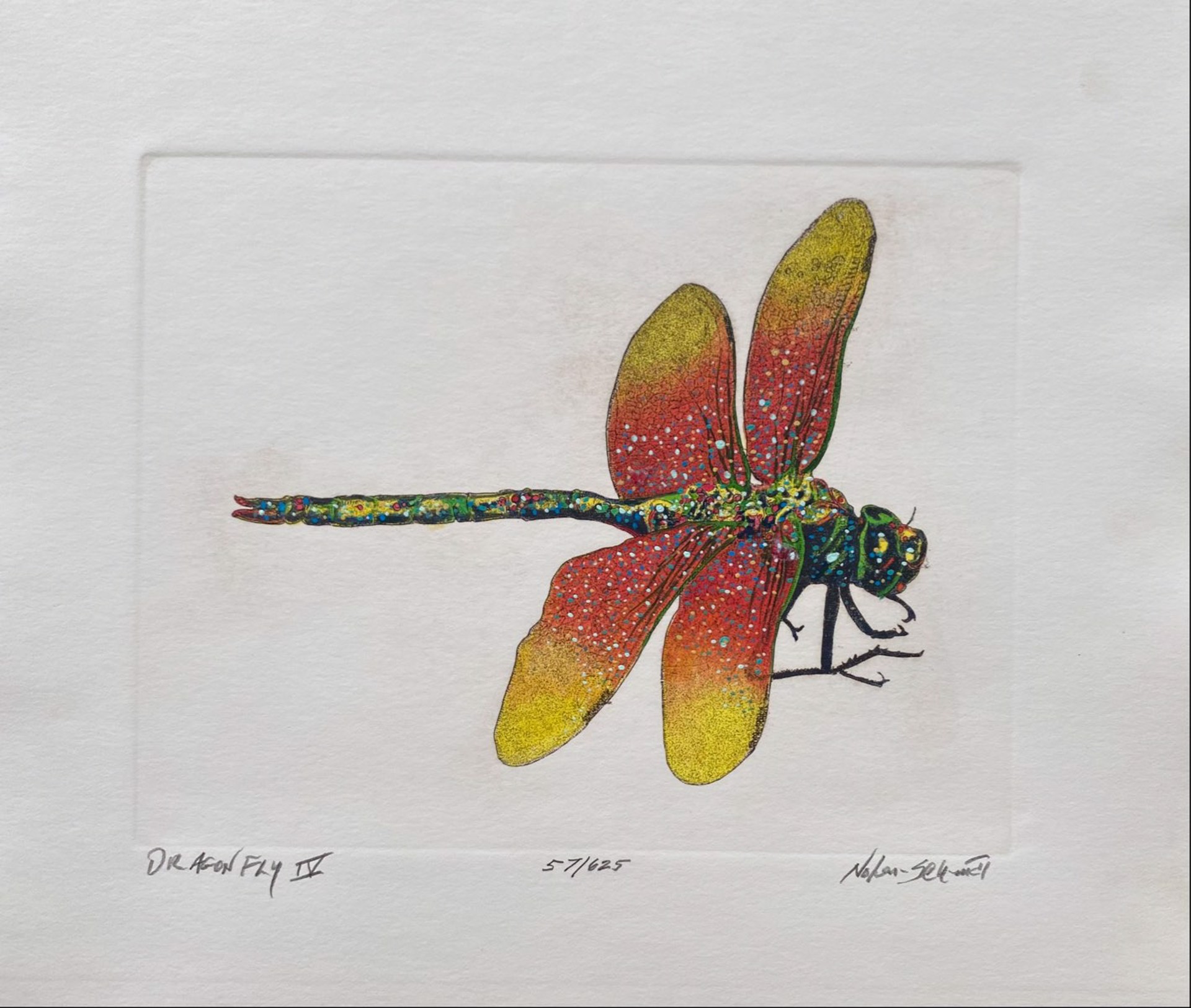 Dragonfly IV  57/625 by William Nolen-Schmidt