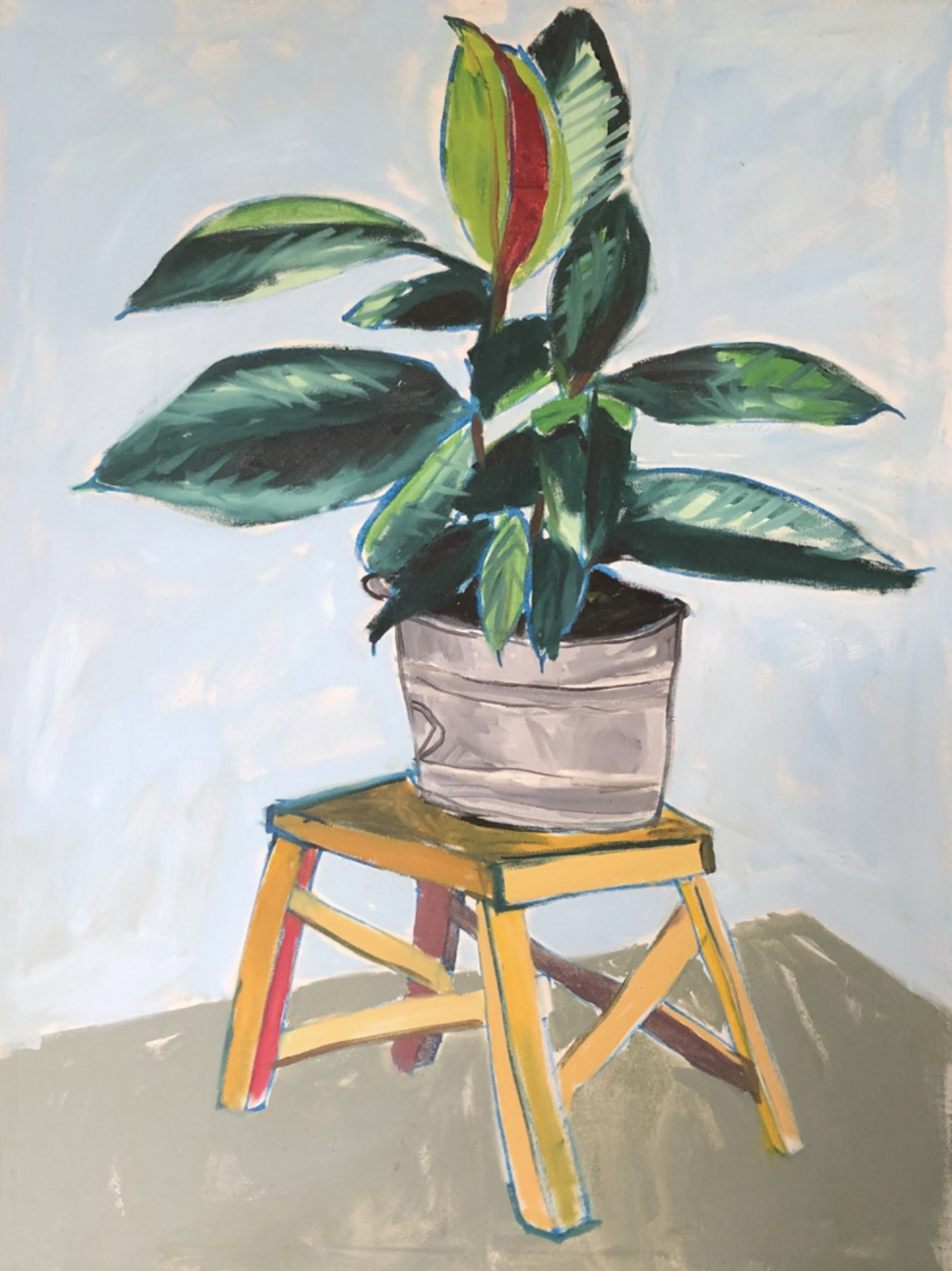 Planta in Bucket (Untitled) by Cruz Ortiz
