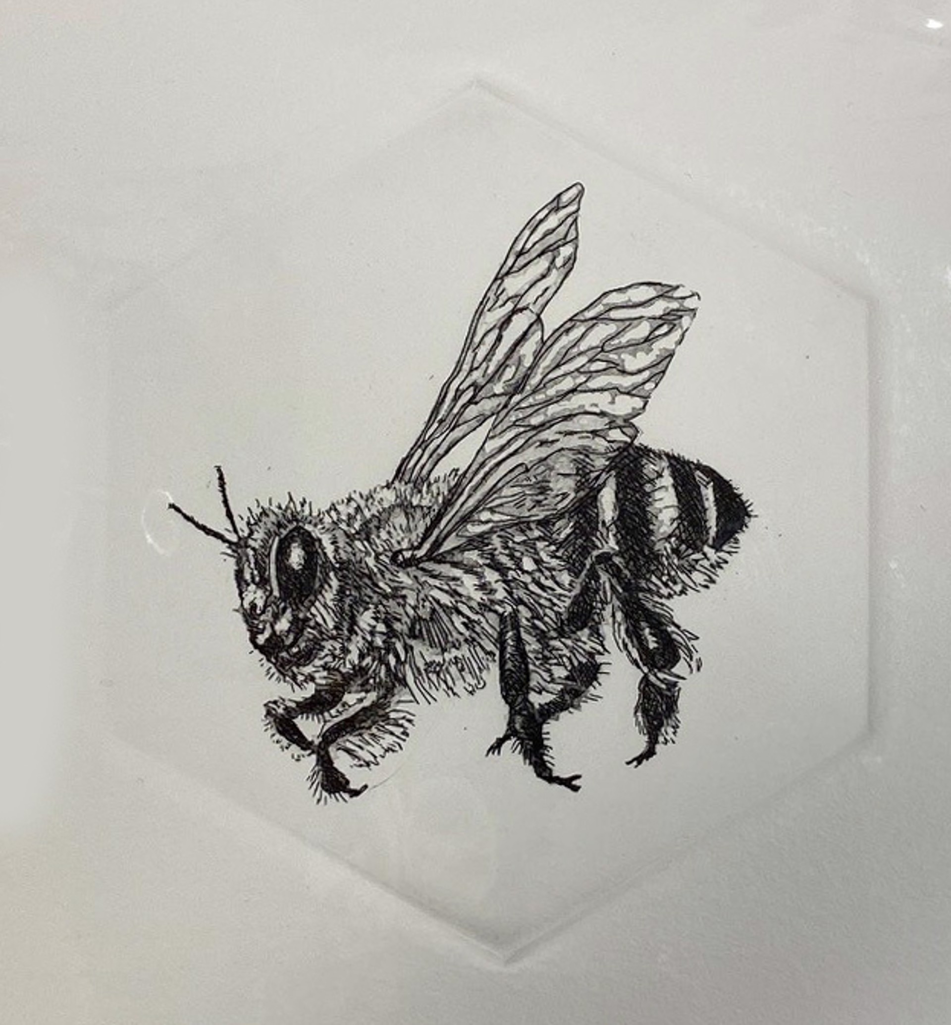 Honey Bee #6 by Marit Berg