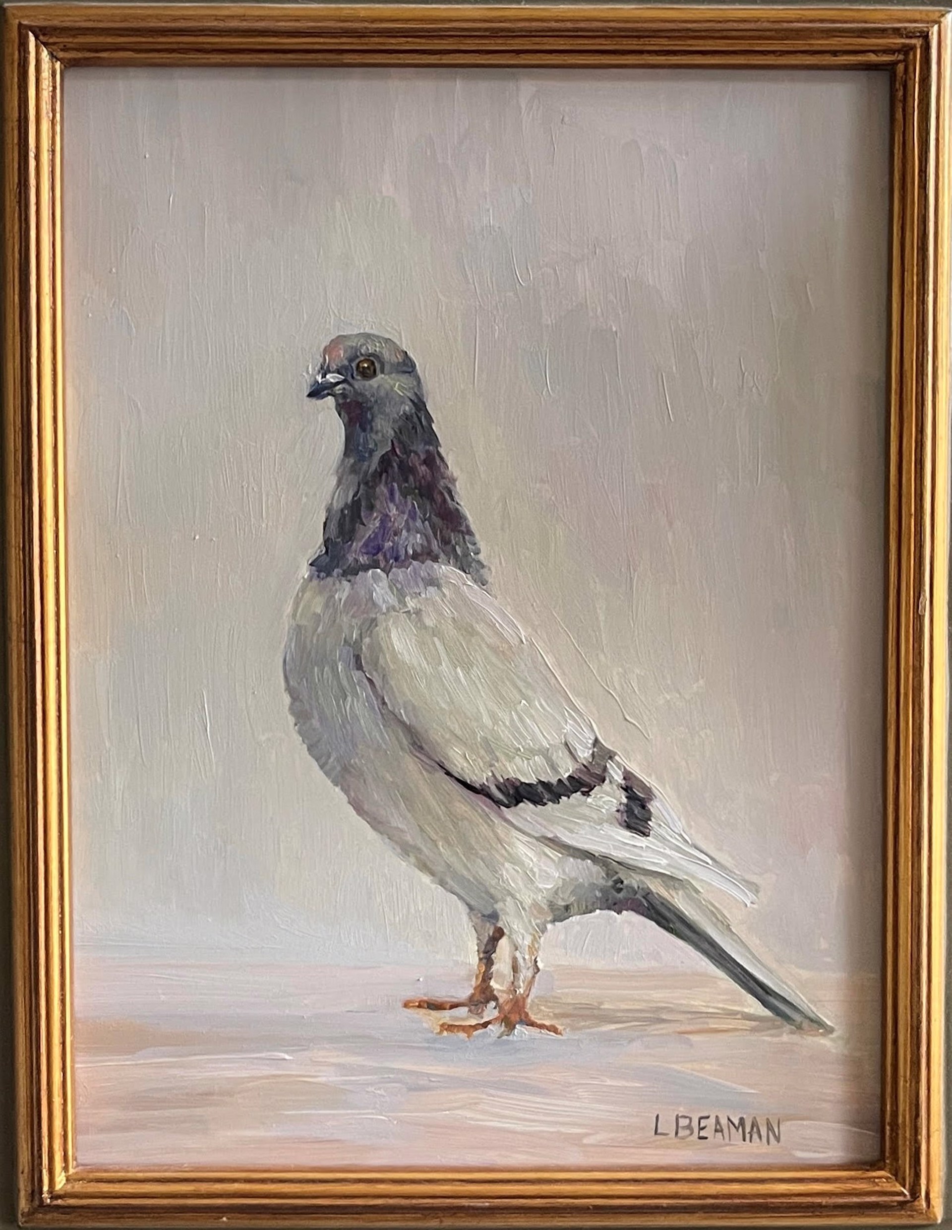 Pigeon by Lisa Beaman