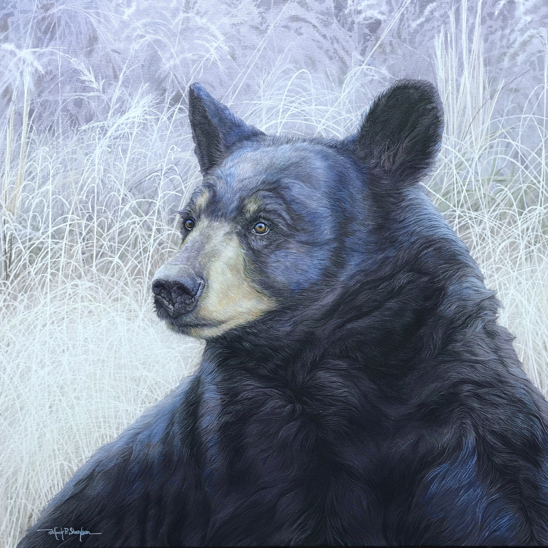 Made Aware Bear by Mark Slawson