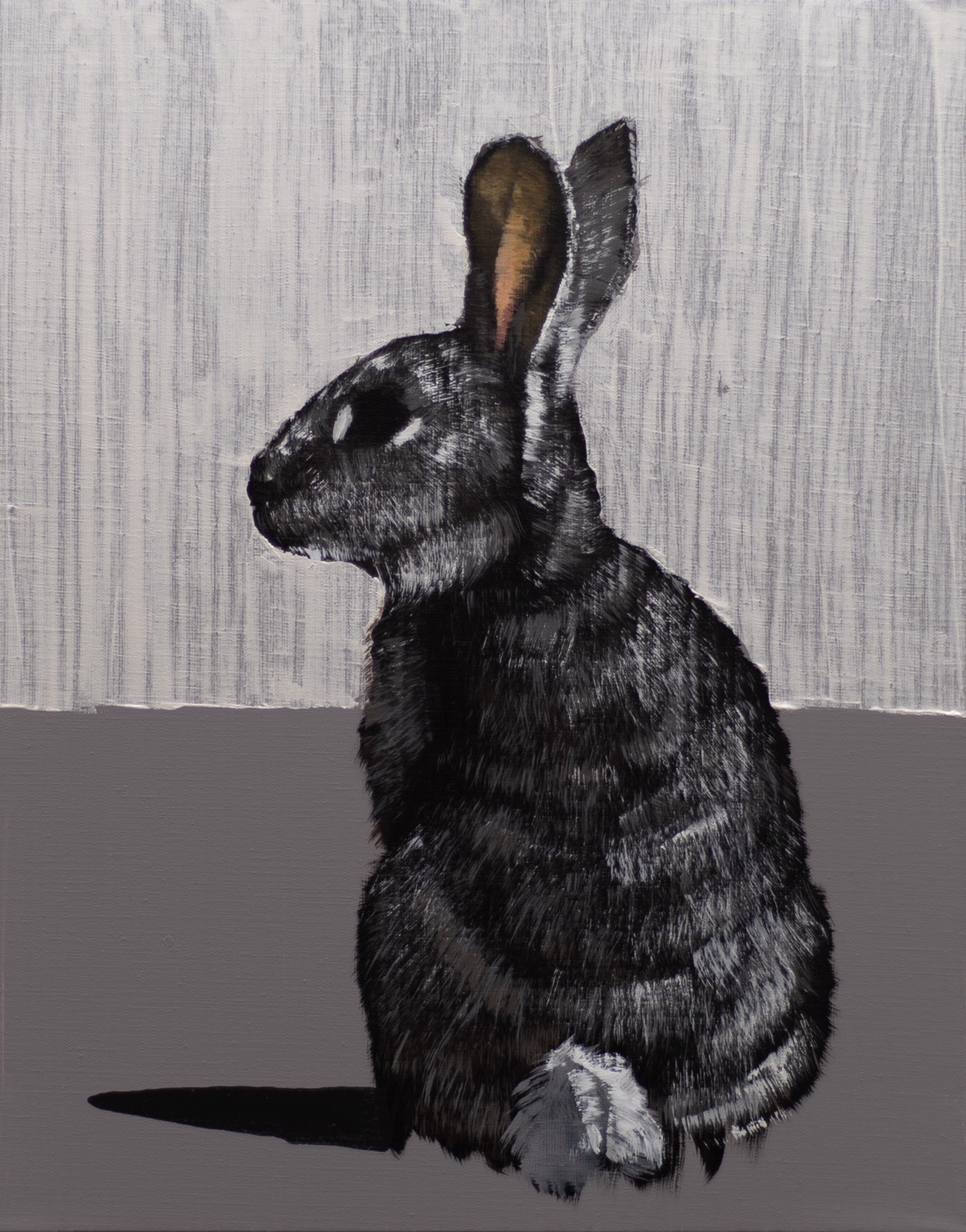White Tail Rabbit on Grey by Josh Brown
