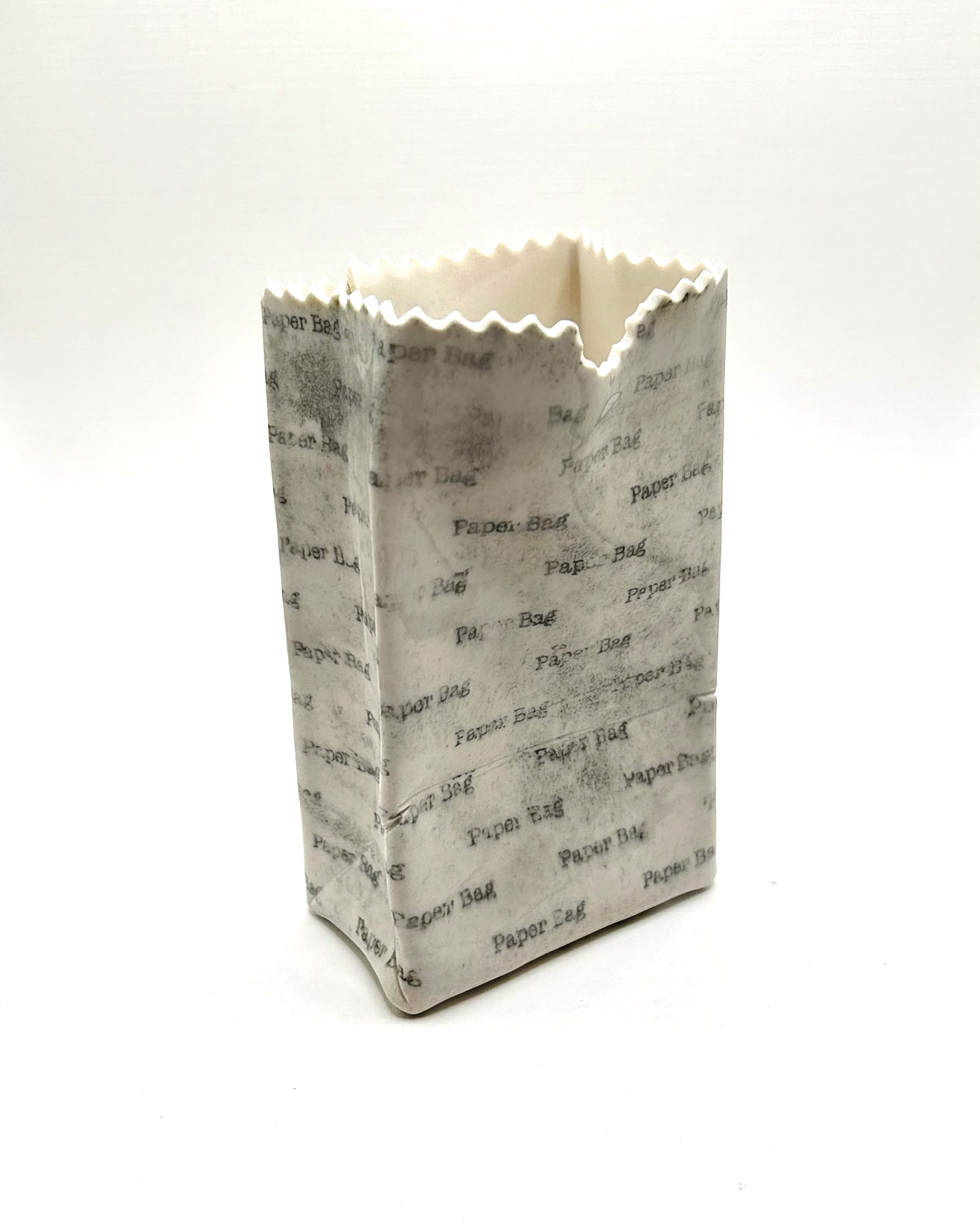 This is not a paper bag. by Chandra Beadleston