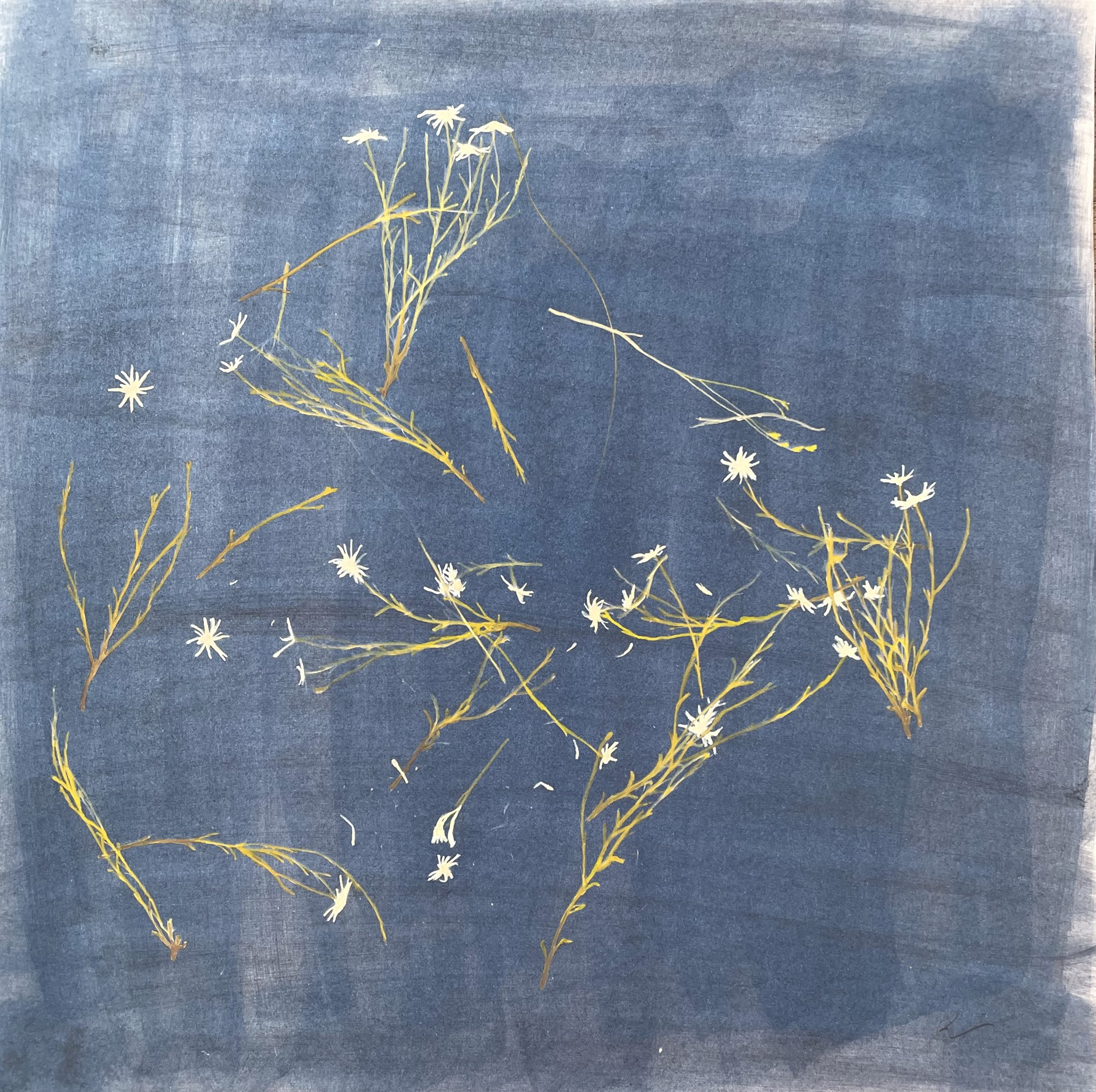 Wildflowers - Blue by Kassandra Marshall