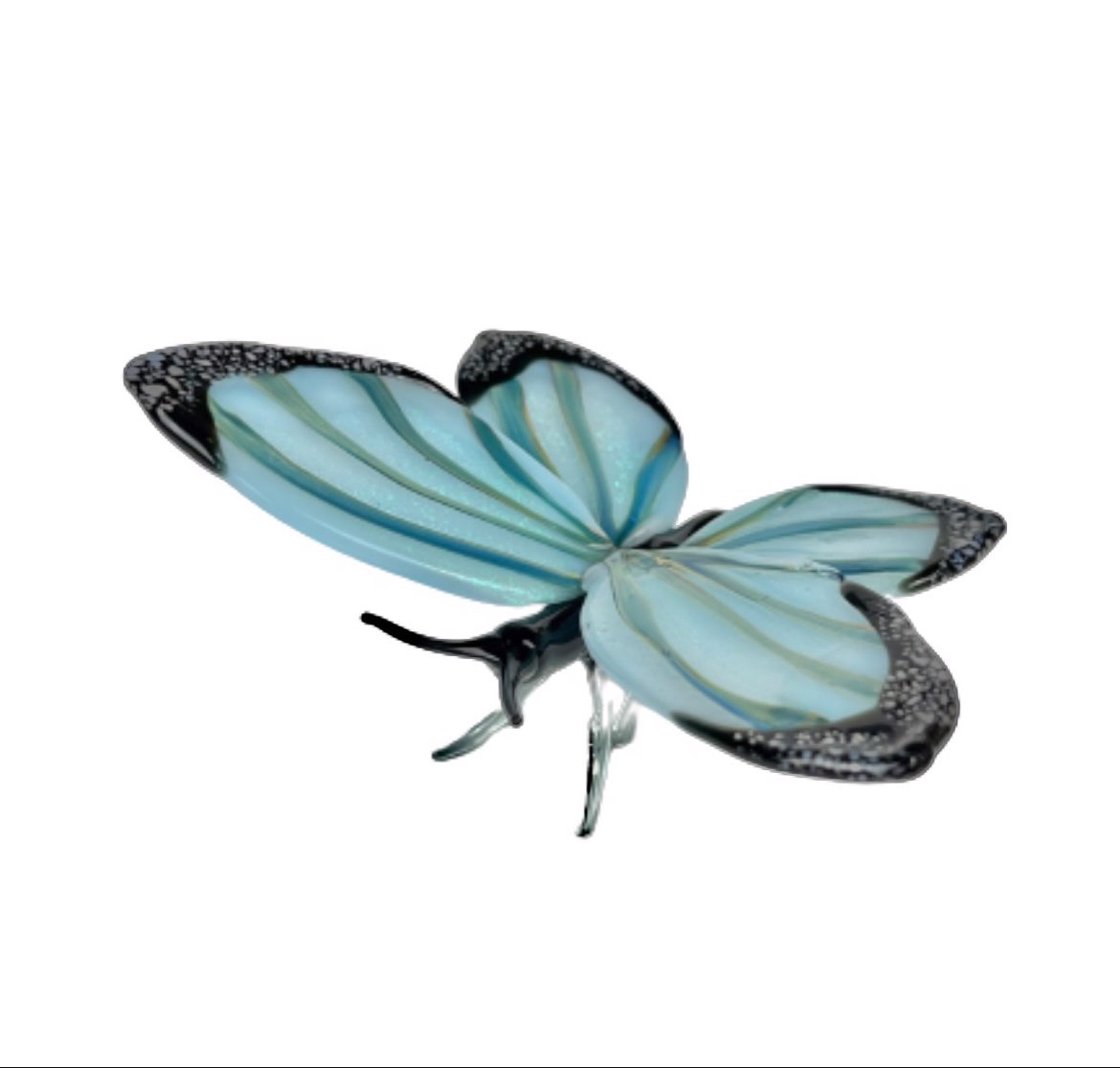 Blue Morpho Butterfly by Loy Allen